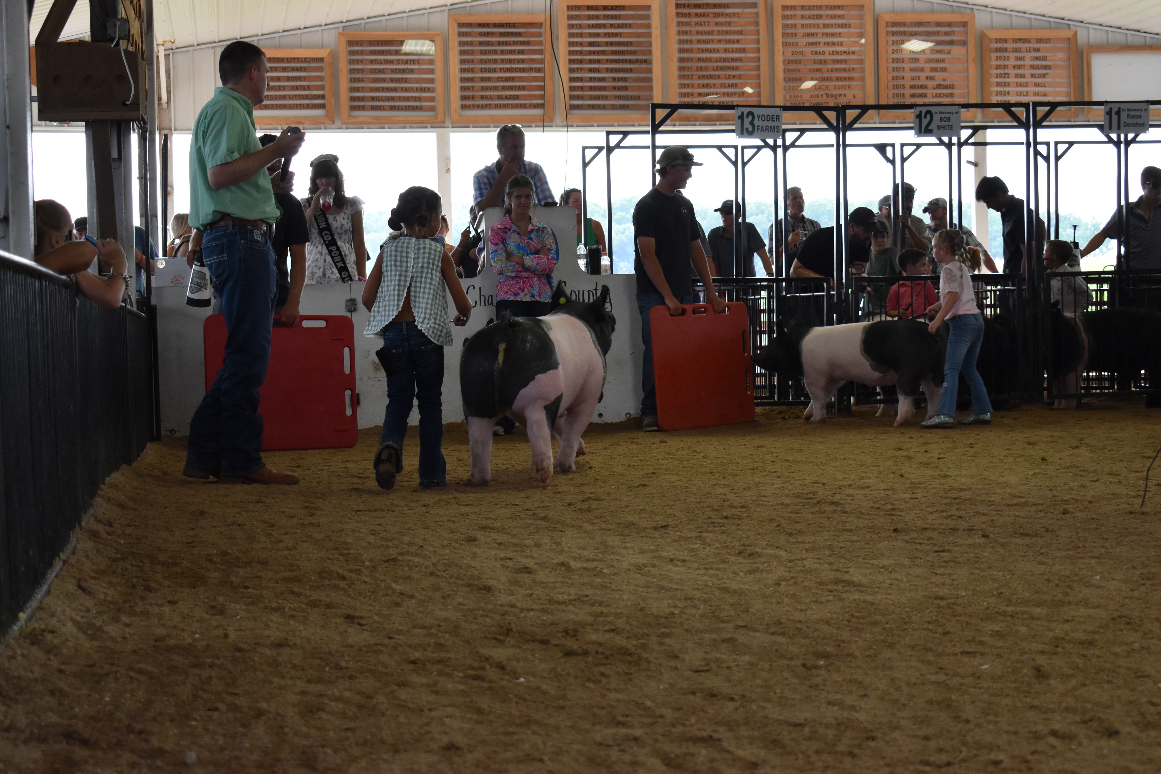 Wide arena shot with girl in green gingham sleeveless top and beaded necklace steering large black-and-white Hampshire cross pig from behind toward Champaign County sign while judge in mint green shirt stands at left and Pork Queen with sash and packed crowd near Yoder Farms pen 13 and Bob White pen 12 and Ranae Donohoe pen 11 behind at Champaign County Fair