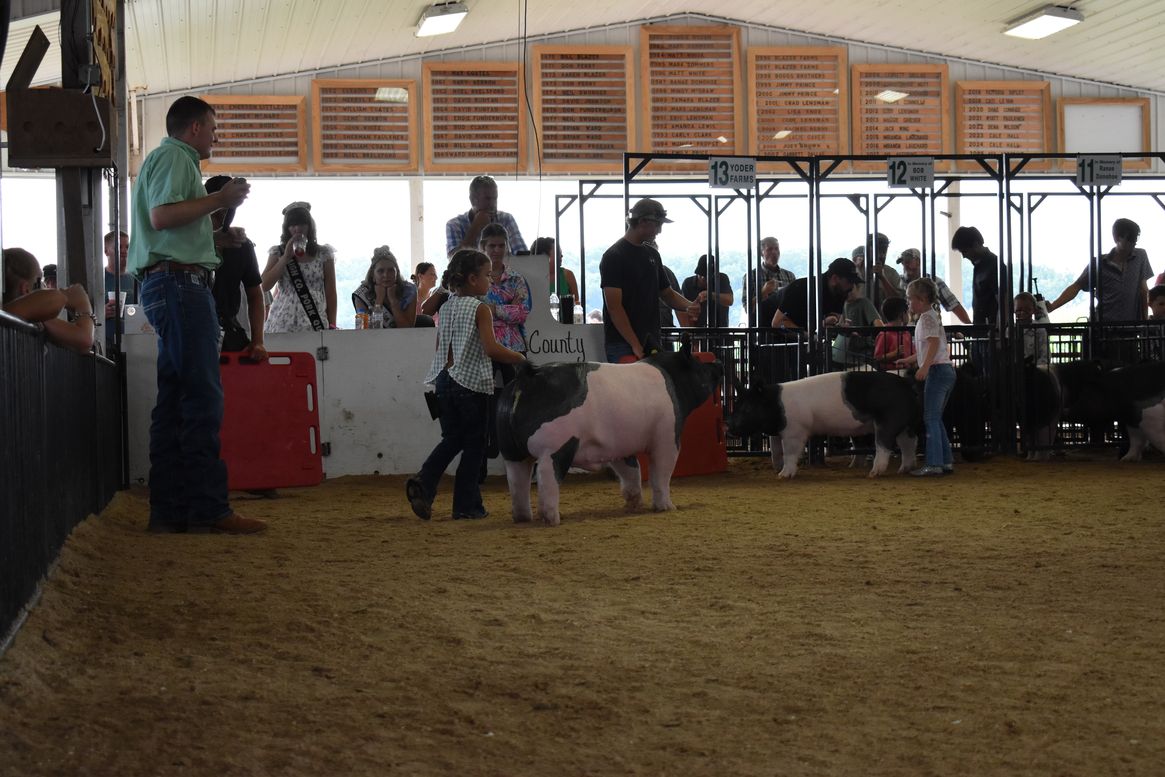 Close-up of girl in green gingham sleeveless top and beaded necklace with hair in bun positioning hands on large black-and-white Hampshire cross pig facing camera with Yoder Farms pen 13 and Bob White pen 12 and Ranae Donohoe pen 11 and past champions boards behind at Champaign County Fair