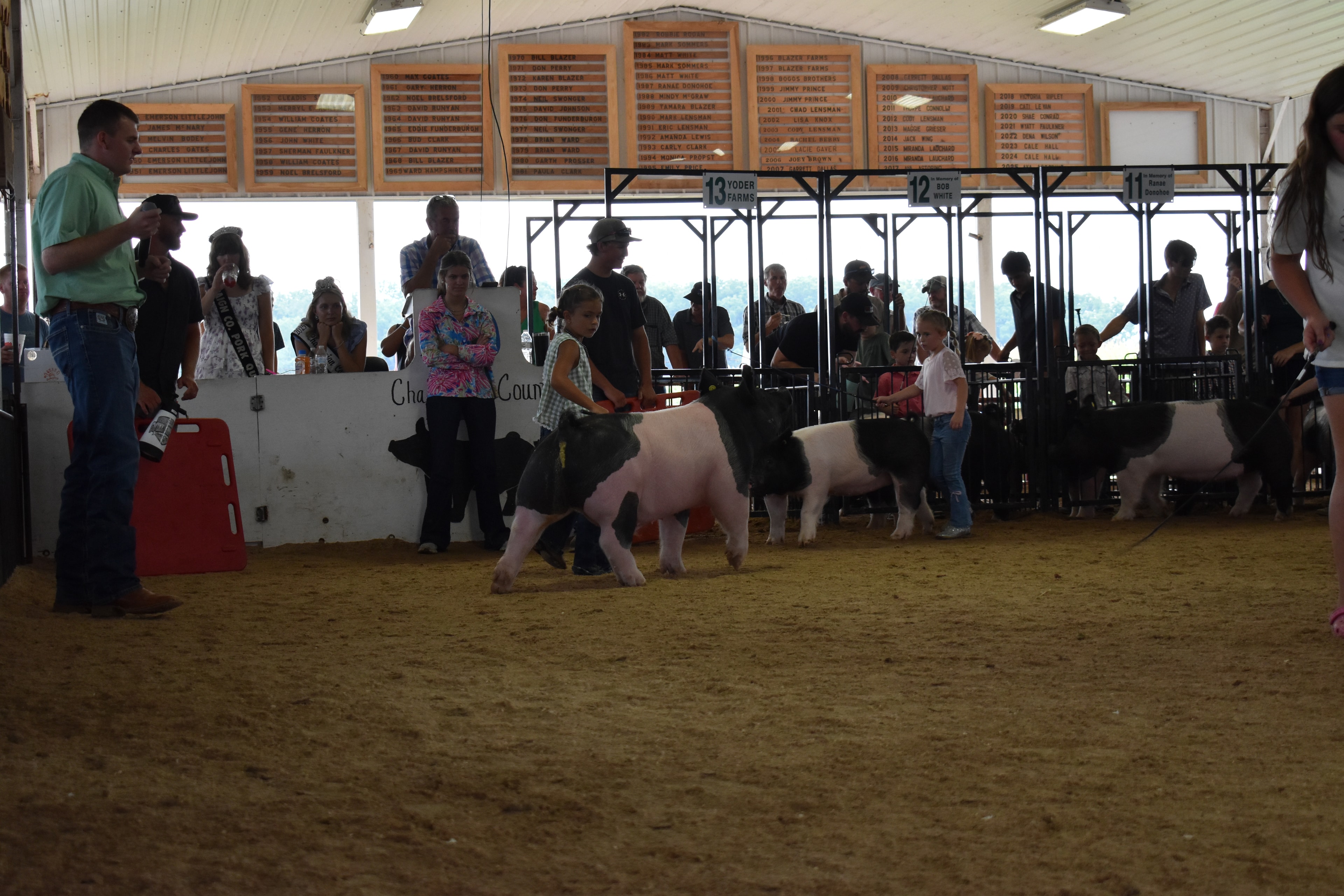 Girl in green gingham sleeveless top and beaded necklace with hair in bun steering large black-and-white Hampshire cross pig from side with show stick while multiple exhibitors and pigs visible behind with Yoder Farms pen 13 and Bob White pen 12 and Ranae Donohoe pen 11 and past champions boards at Champaign County Fair