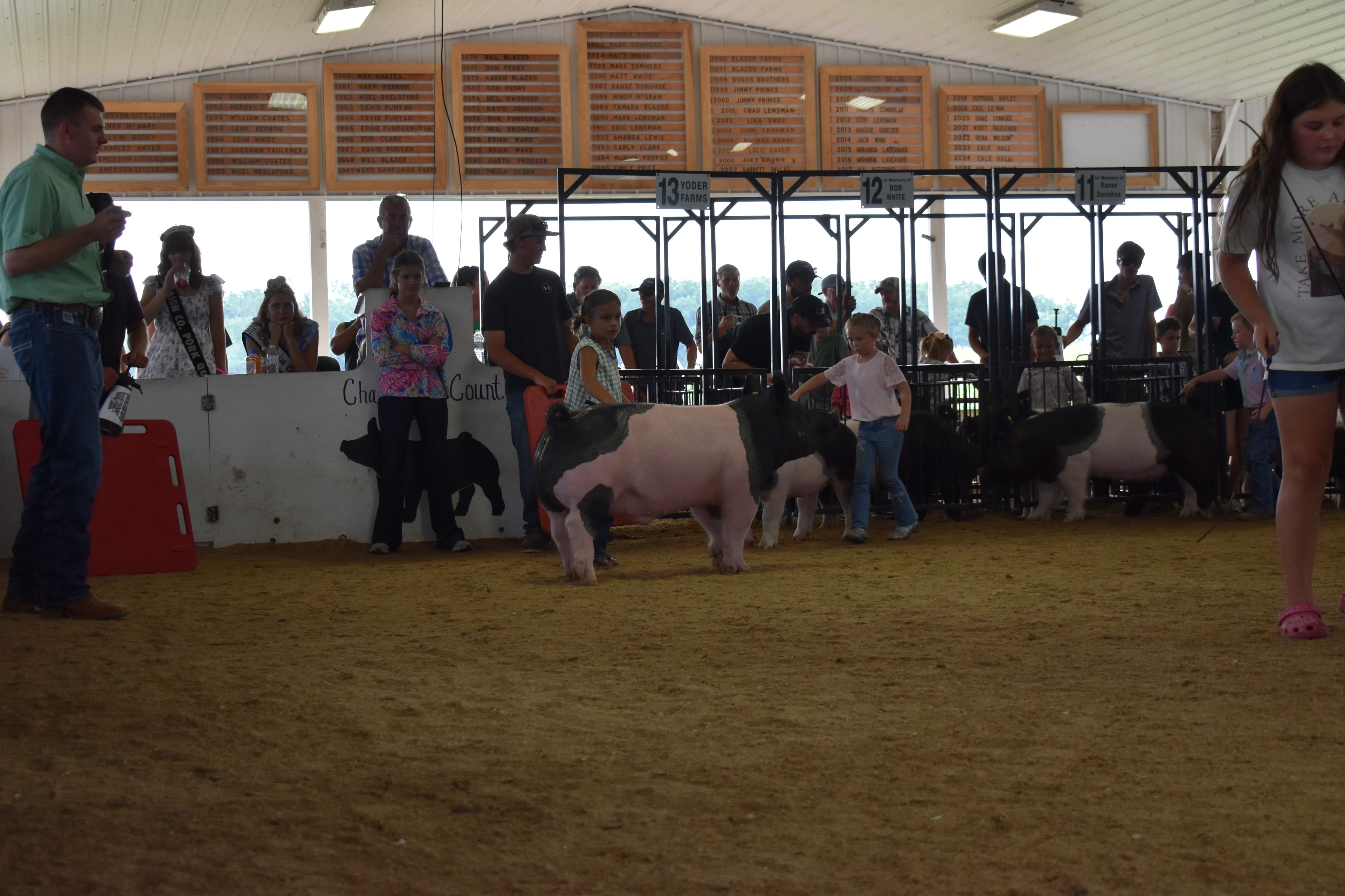 Girl in green gingham sleeveless top and beaded necklace with hair in bun steering large black-and-white Hampshire cross pig from side with show stick while multiple exhibitors and pigs visible behind with Yoder Farms pen 13 and Bob White pen 12 and Ranae Donohoe pen 11 and past champions boards at Champaign County Fair
