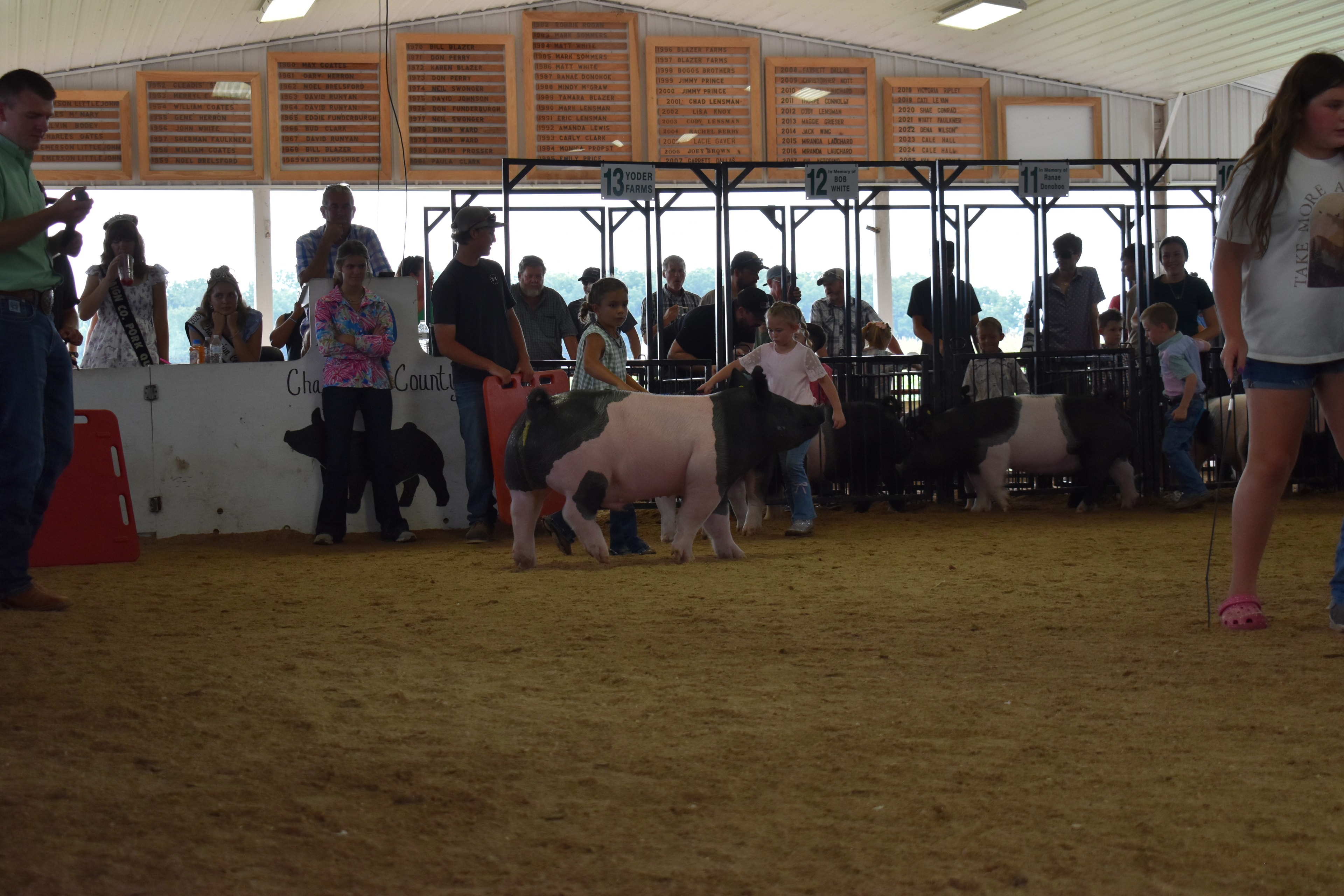 Girl in green gingham sleeveless top and beaded necklace with hair in bun steering large black-and-white Hampshire cross pig from side with show stick while multiple exhibitors and pigs visible behind with Yoder Farms pen 13 and Bob White pen 12 and Ranae Donohoe pen 11 and past champions boards at Champaign County Fair