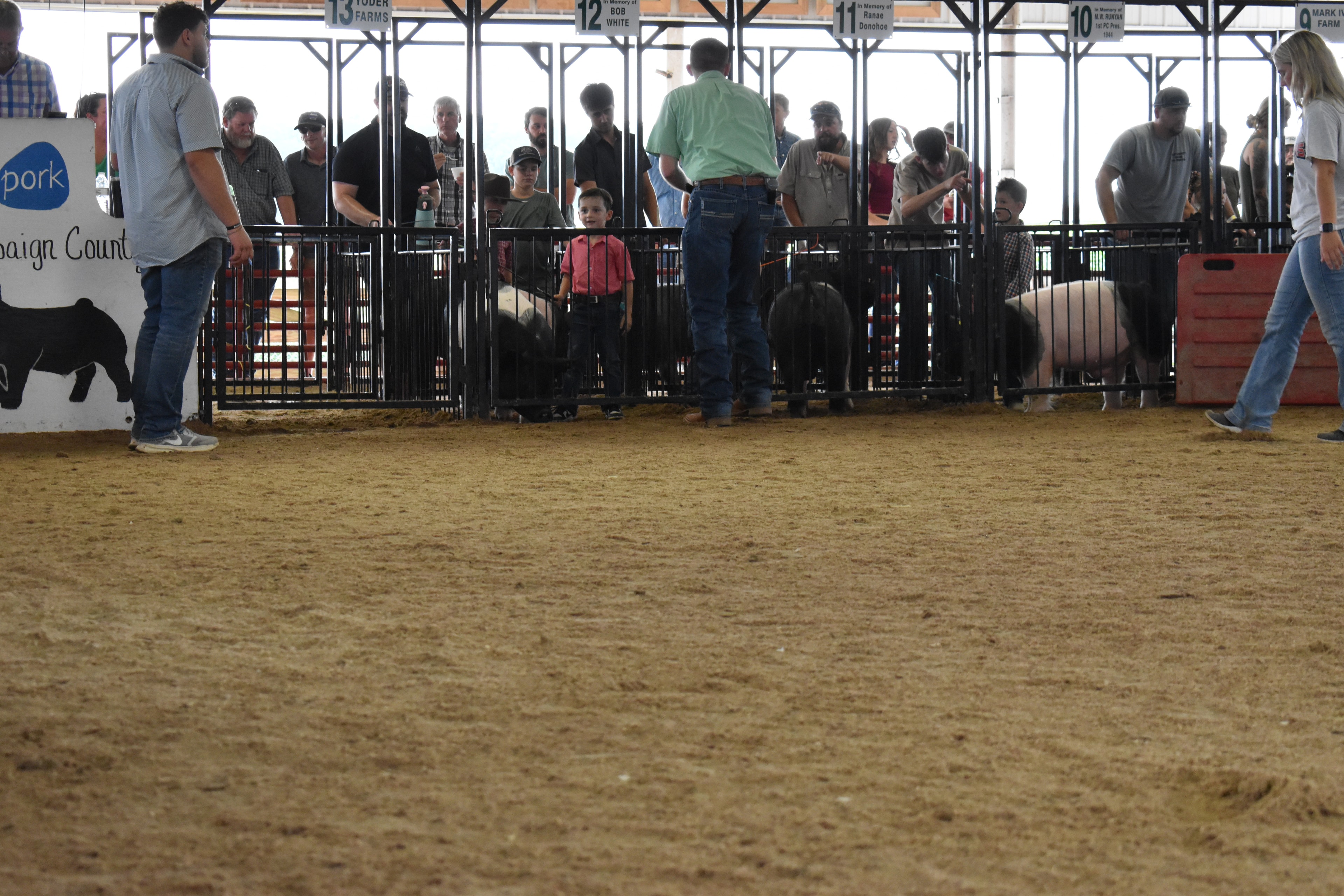 Girl in green gingham sleeveless top with beaded necklace steering massive black-and-white Hampshire cross pig from behind with show stick while multiple exhibitors and pigs visible in full arena with Yoder Farms pen 13 and Bob White pen 12 and Ranae Donohoe pen 11 and Mark IV Farm pen 9 and past champions boards behind at Champaign County Fair