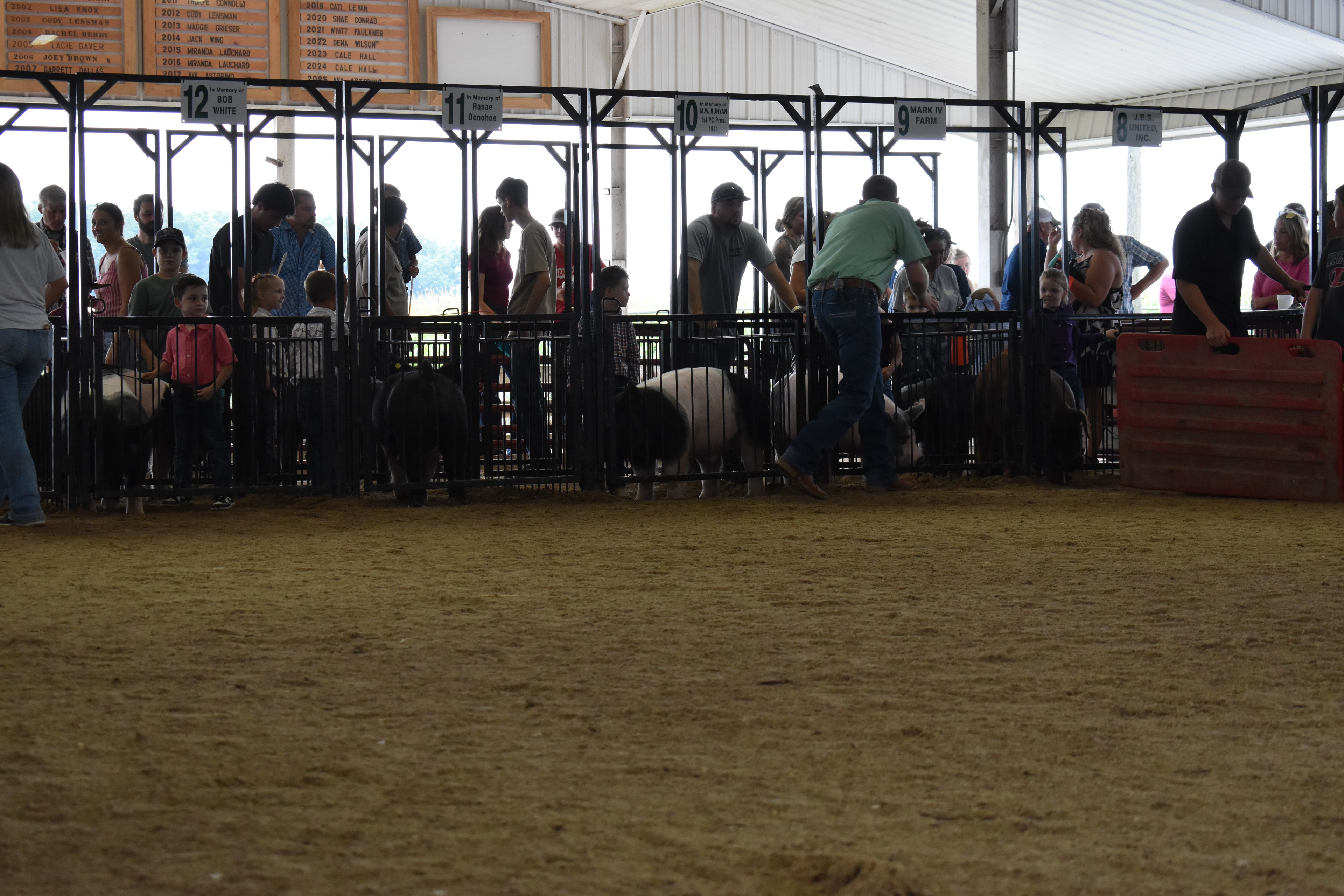 Tiny girl in white eyelet top and red-striped bell-bottom pants with older sister in floral top both steering black Hampshire cross pig from behind near Champaign County Pork sign while girl in sage green top and multiple exhibitors visible with Yoder Farms pen 12 and Bob White pen 12 and past champions boards behind at Champaign County Fair