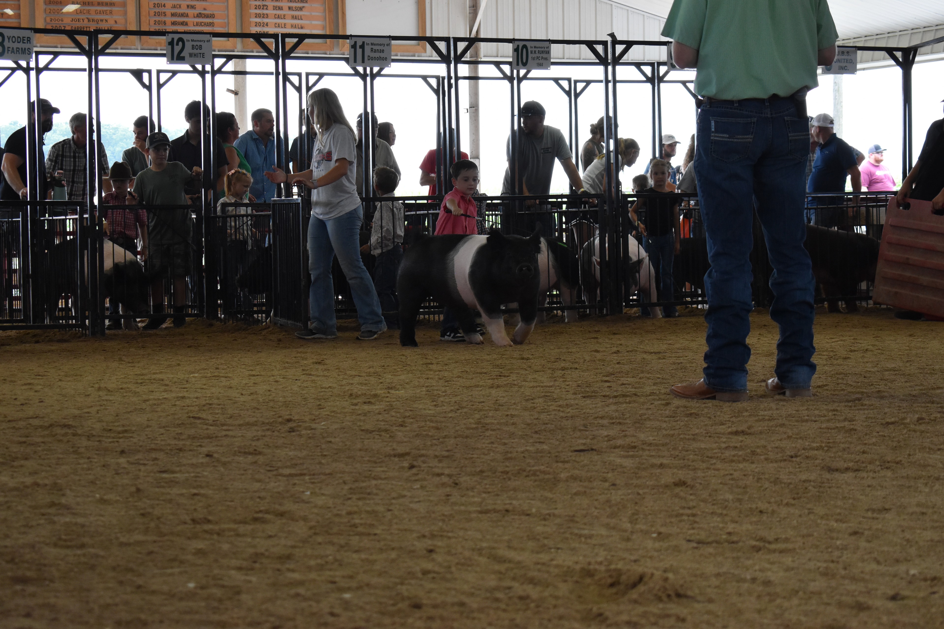 Wide arena shot with tiny girl in white eyelet top and red-striped bell-bottom pants and older sister in floral top and girl in sage green top near Champaign County Pork sign while multiple exhibitors and pigs visible with Yoder Farms pen 12 and Bob White pen 12 and past champions boards behind at Champaign County Fair