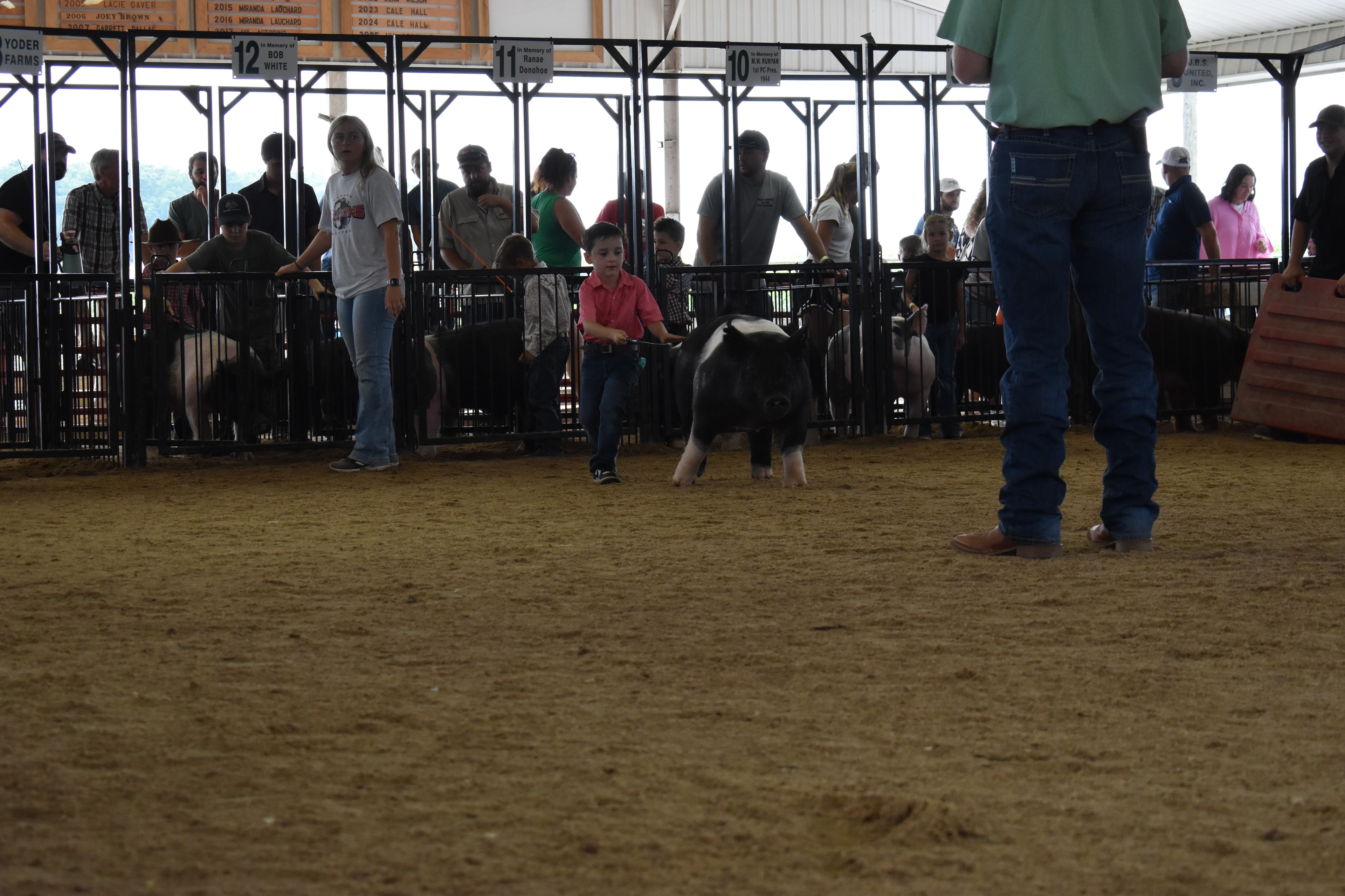 Boy in light blue polo shirt steering large black Hampshire cross pig with show stick while judge in mint green shirt bends toward him and girl in light blue shirt assists and Champaign County Pork sign and past champions boards visible behind at Champaign County Fair