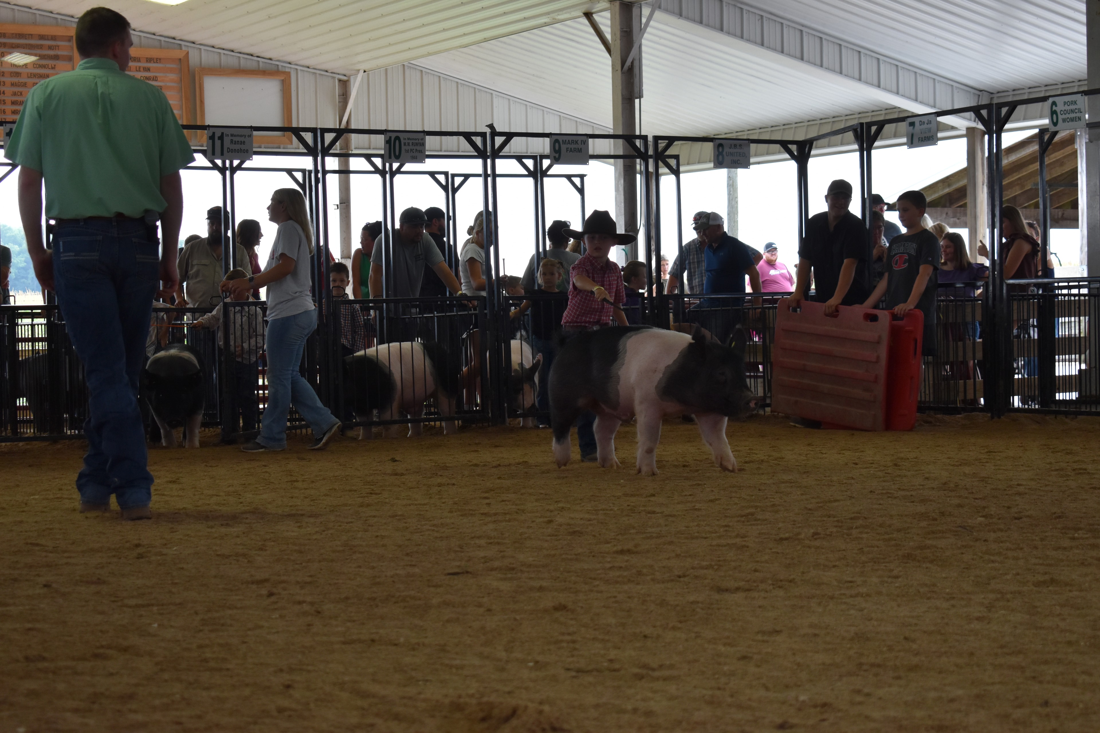 Boy in gray-white western snap shirt with pearl buttons steering large black Hampshire cross pig with pink belly stripe from behind with show stick while packed crowd watches from JBS United pen 8 and Da Ja View Farms pen 7 and Pork Council Women pen 6 behind at Champaign County Fair