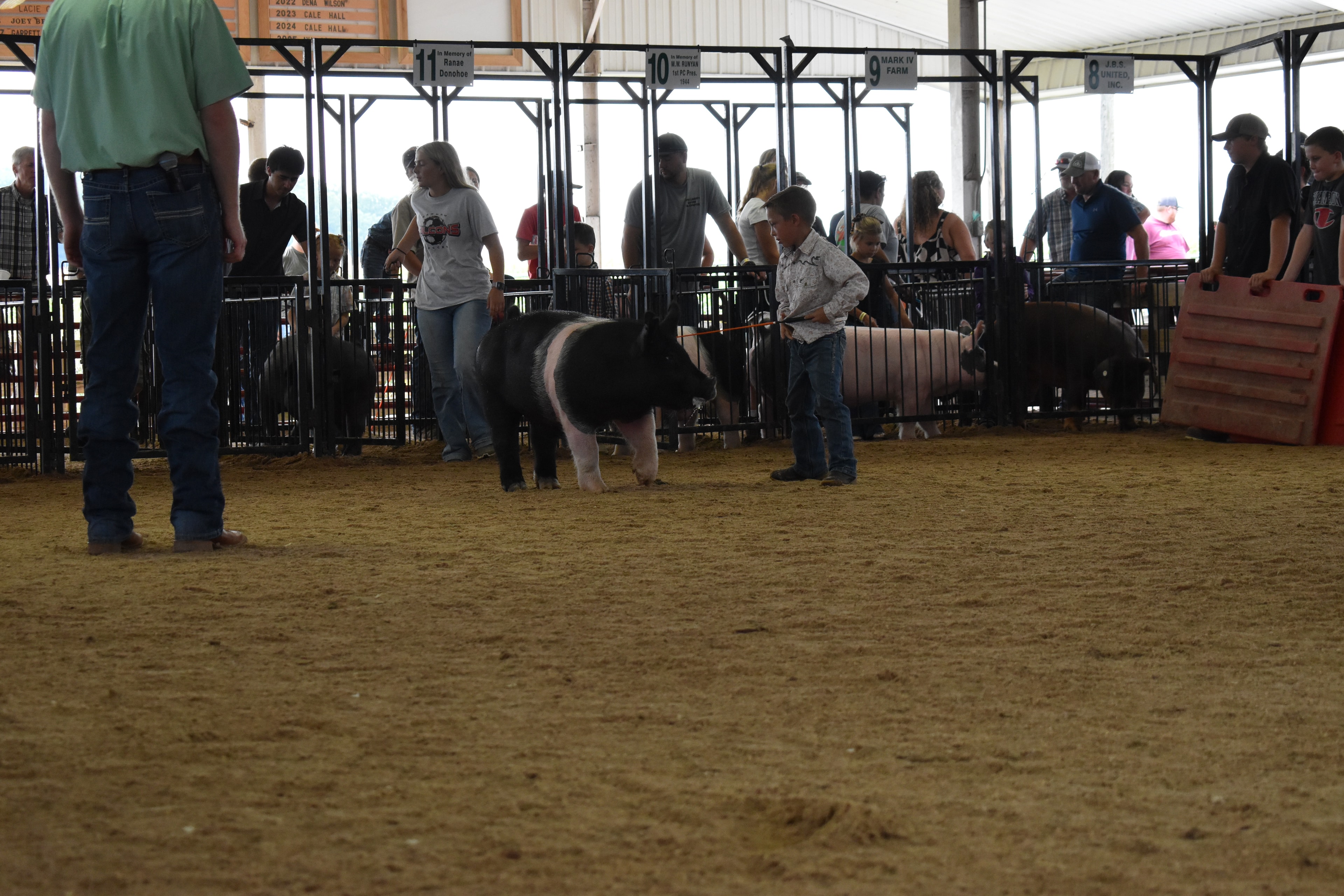 Boy in gray-white western snap shirt with pearl buttons steering large black Hampshire cross pig with pink belly stripe from side with orange show stick while packed crowd watches from Lensman Show Pigs pen 4 and Pork Council Women pen 6 and Da Ja View Farms pen 7 behind at Champaign County Fair