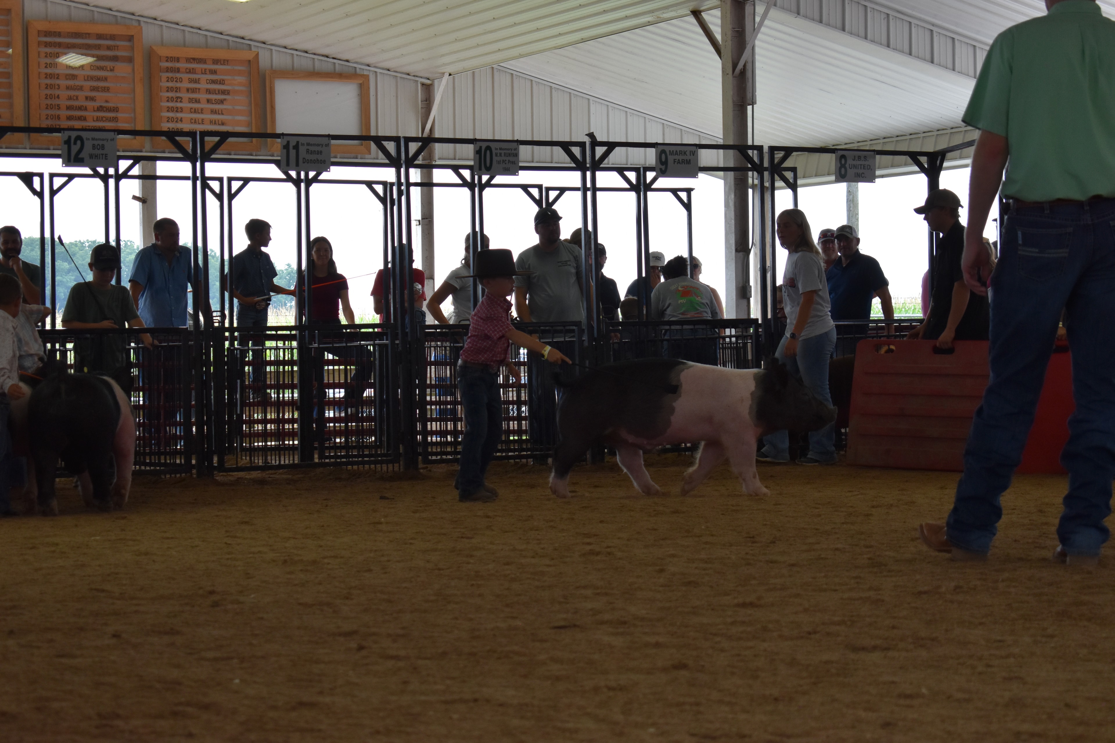 Boy in white floral western shirt steering large black Hampshire cross pig with pink belly stripe from behind with orange show stick while girl in purple shirt and small boy in pink shirt visible behind with Lensman Show Pigs pen 4 and Oakview Farms Meats pen 3 and Blazer Farms pen 2 and Mark Sommers pen 1 behind at Champaign County Fair
