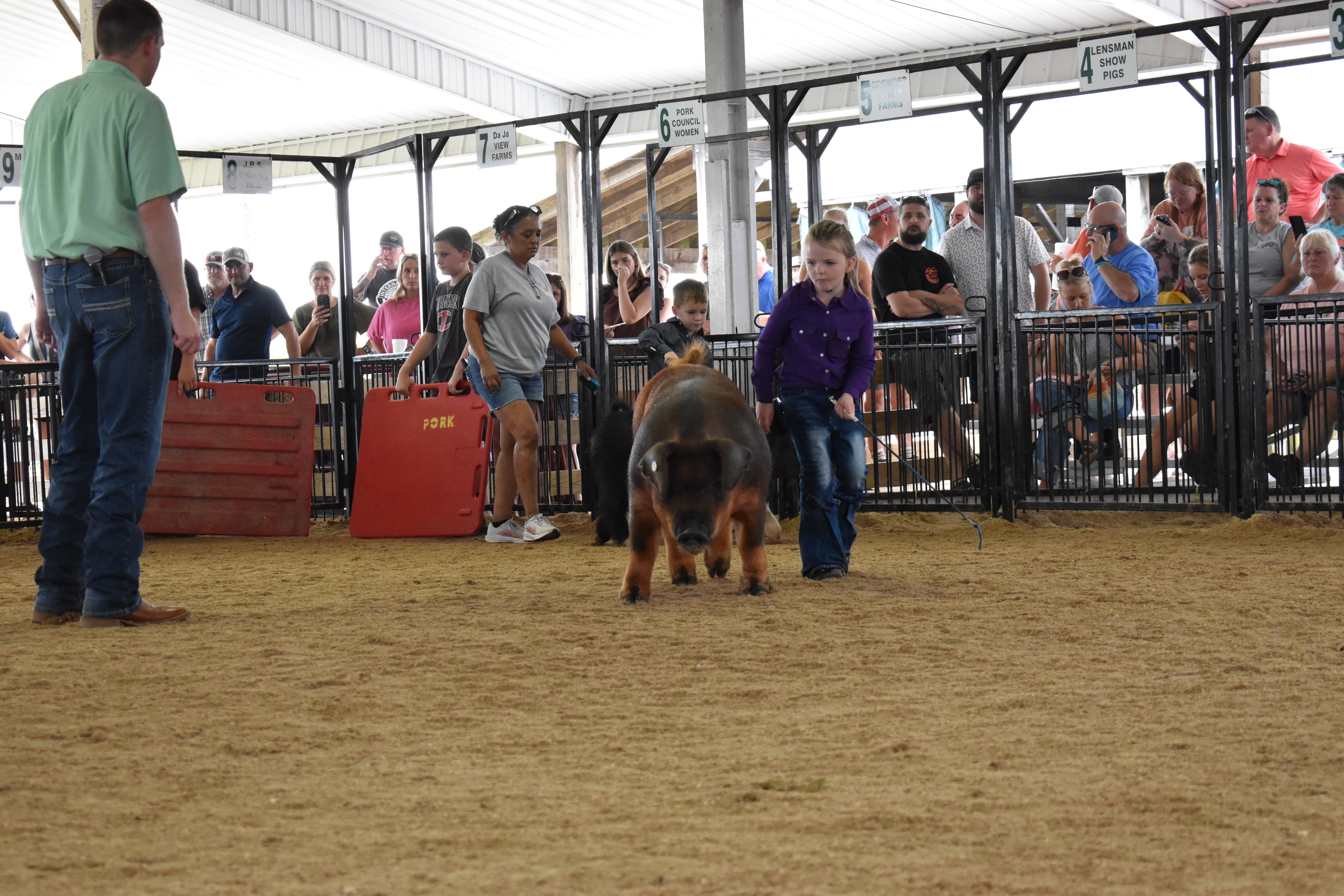Boy in white floral western shirt running to keep up with large black Hampshire cross pig with pink belly stripe while judge in mint green shirt stands at left and JBS United pen 8 and Da Ja View Farms pen 7 and Pork Council Women pen 6 and Lensman Show Pigs pen 4 behind at Champaign County Fair