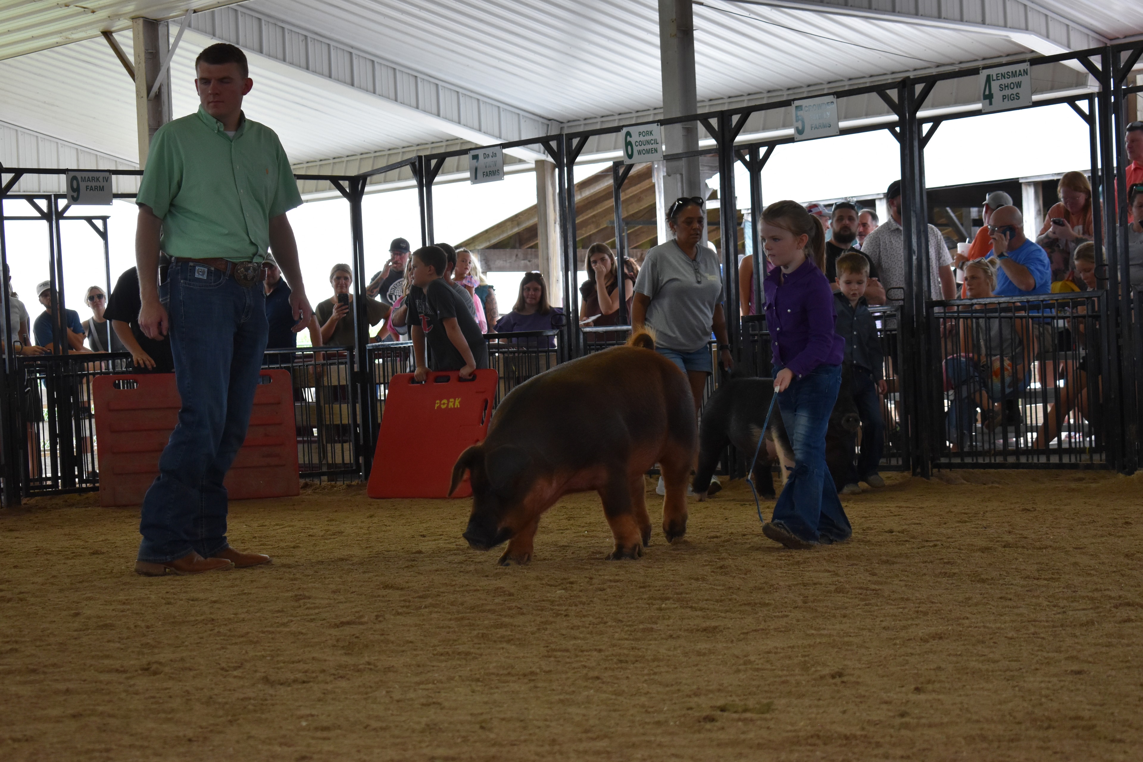 Boy in white floral western shirt running to keep up with large black Hampshire cross pig with pink belly stripe while judge in mint green shirt stands at left and multiple exhibitors and JBS United pen 8 and Da Ja View Farms pen 7 and Pork Council Women pen 6 and Lensman Show Pigs pen 4 behind at Champaign County Fair