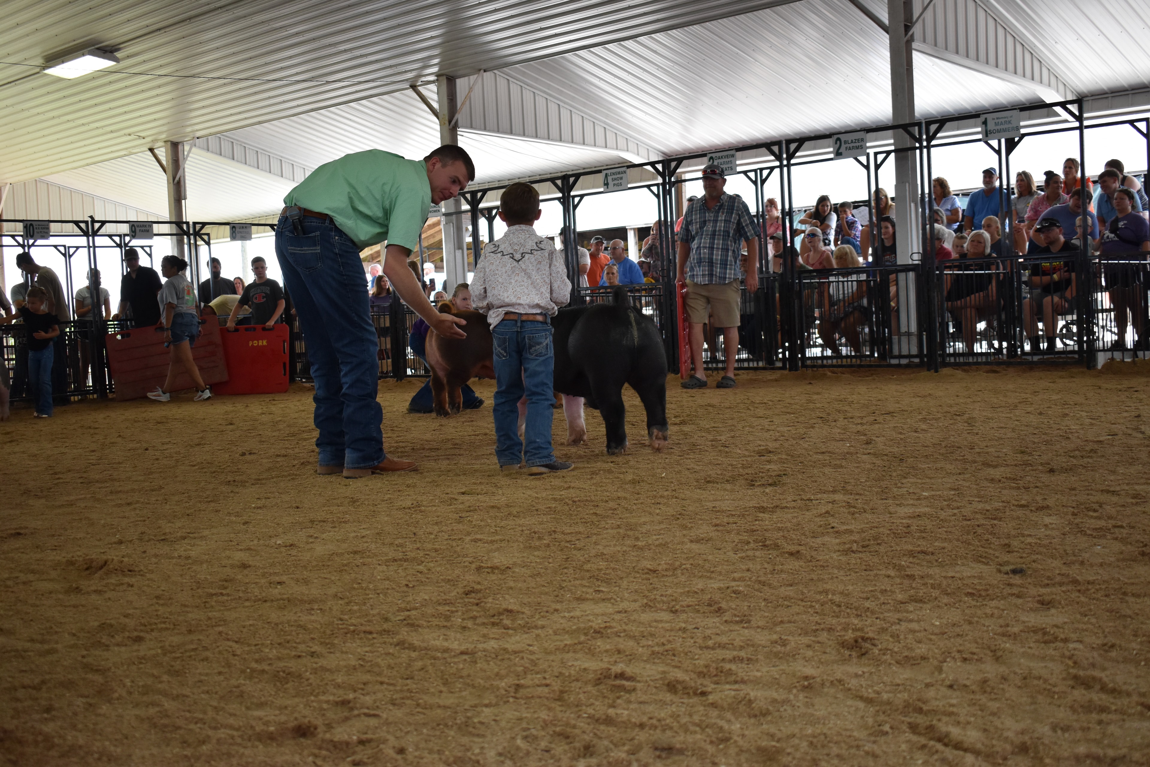 Girl in pink-blue-white plaid short-sleeve shirt with pink hair bow and jeans and cowboy boots being coached by teenage boy in mint green t-shirt and brown cowboy boots while woman in white t-shirt assists and small black Hampshire pig visible at right near rail fence with pens 10 and 11 and multiple exhibitors in background at Champaign County Fair