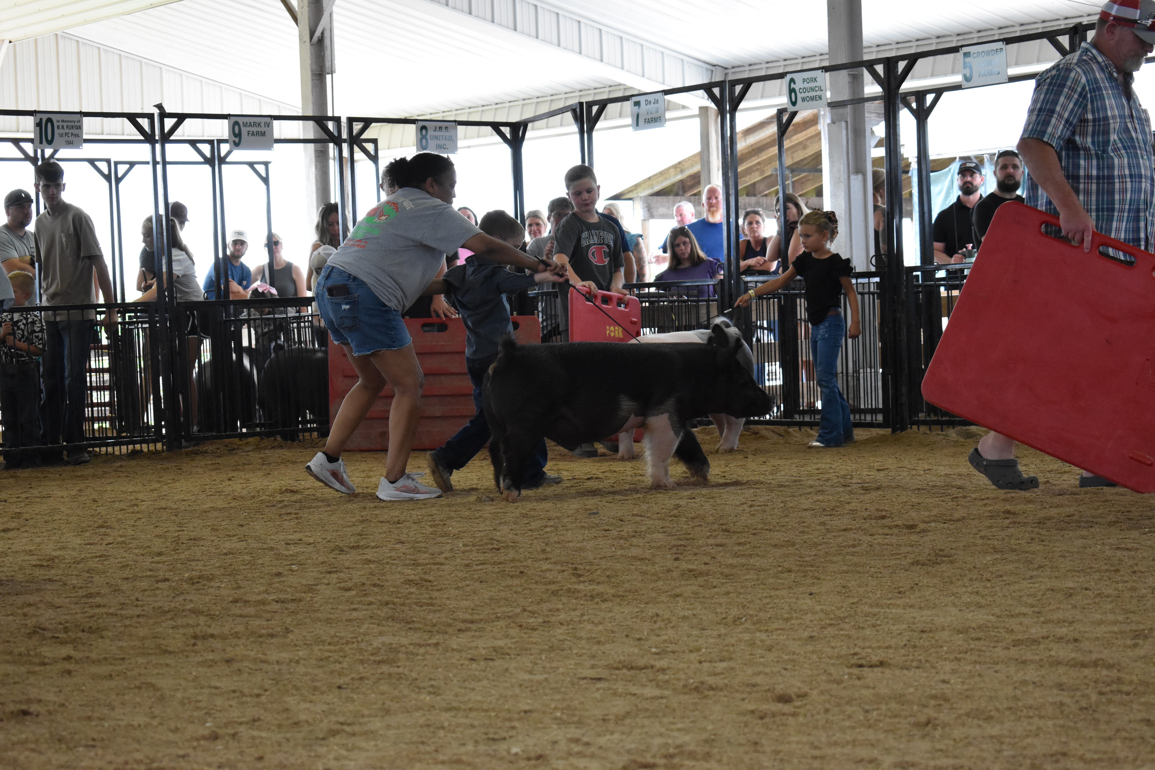Girl in pink plaid shirt with braided pigtail and girl in red top with black hair bow both steering large black Hampshire cross pig together with red show boards while Mark IV Farm pen 9 and Da Ja View Farms pen 7 and Pork Council Women pen 6 and Lensman Show Pigs pen 4 and packed crowd behind at Champaign County Fair