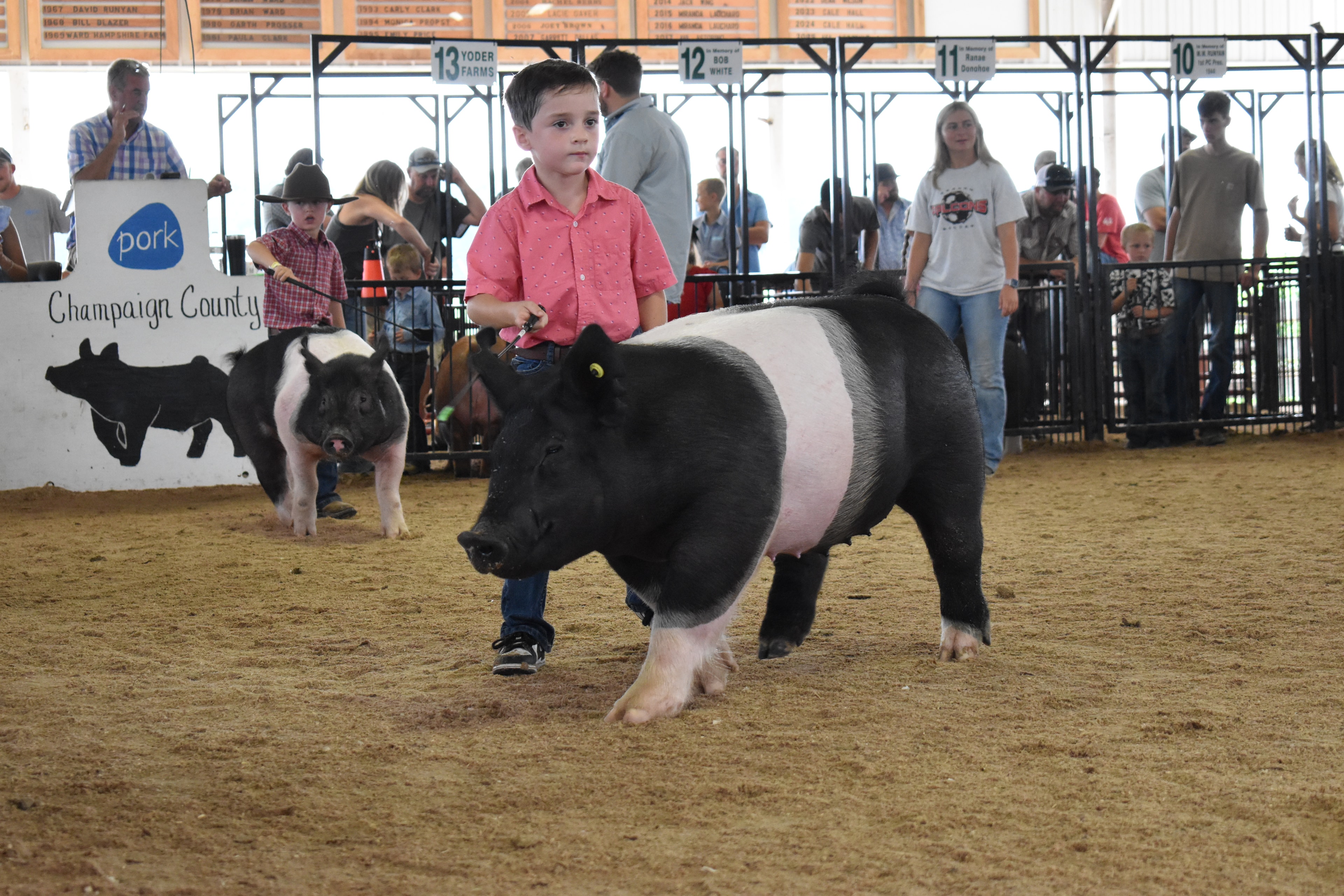 Girl in red top with black hair bow steering large black Hampshire cross pig from side while Duroc reddish-brown pig at left and Mark IV Farm pen 9 and JBS United pen 8 and Da Ja View Farms pen 7 and Pork Council Women pen 6 and Crowder Farms pen 5 and Lensman Show Pigs pen 4 behind with packed crowd at Champaign County Fair