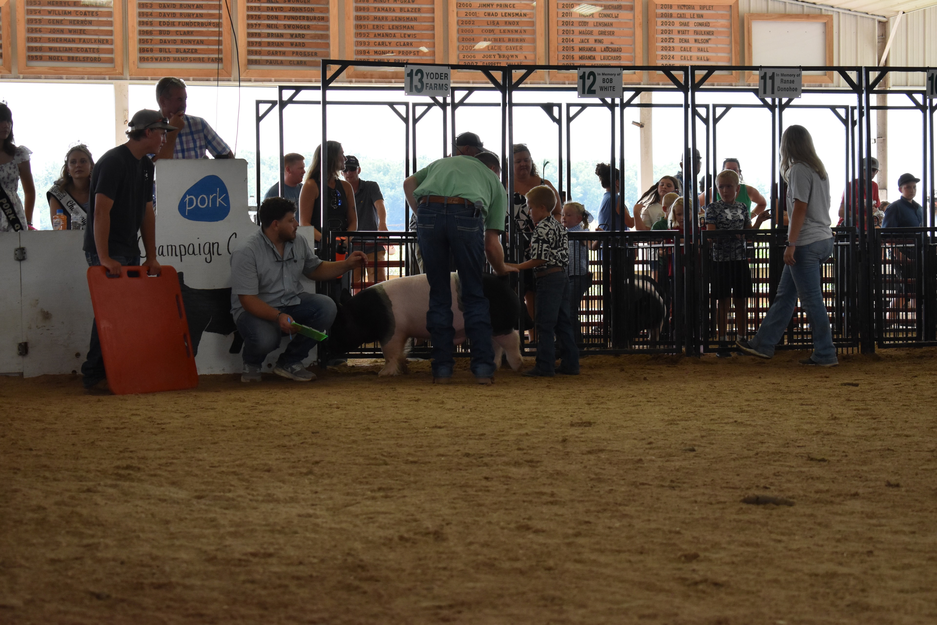 Girl in paisley shirt and boy in pink bow steering Hampshire cross pigs in show ring