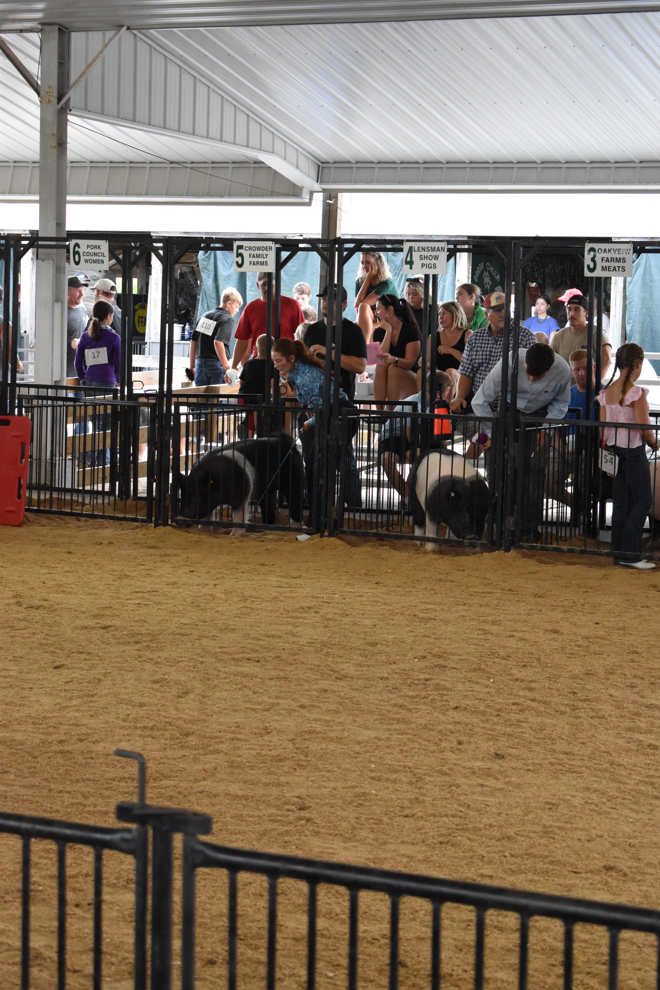 Spectators watching from sponsor pens along the show ring at Champaign County Fair