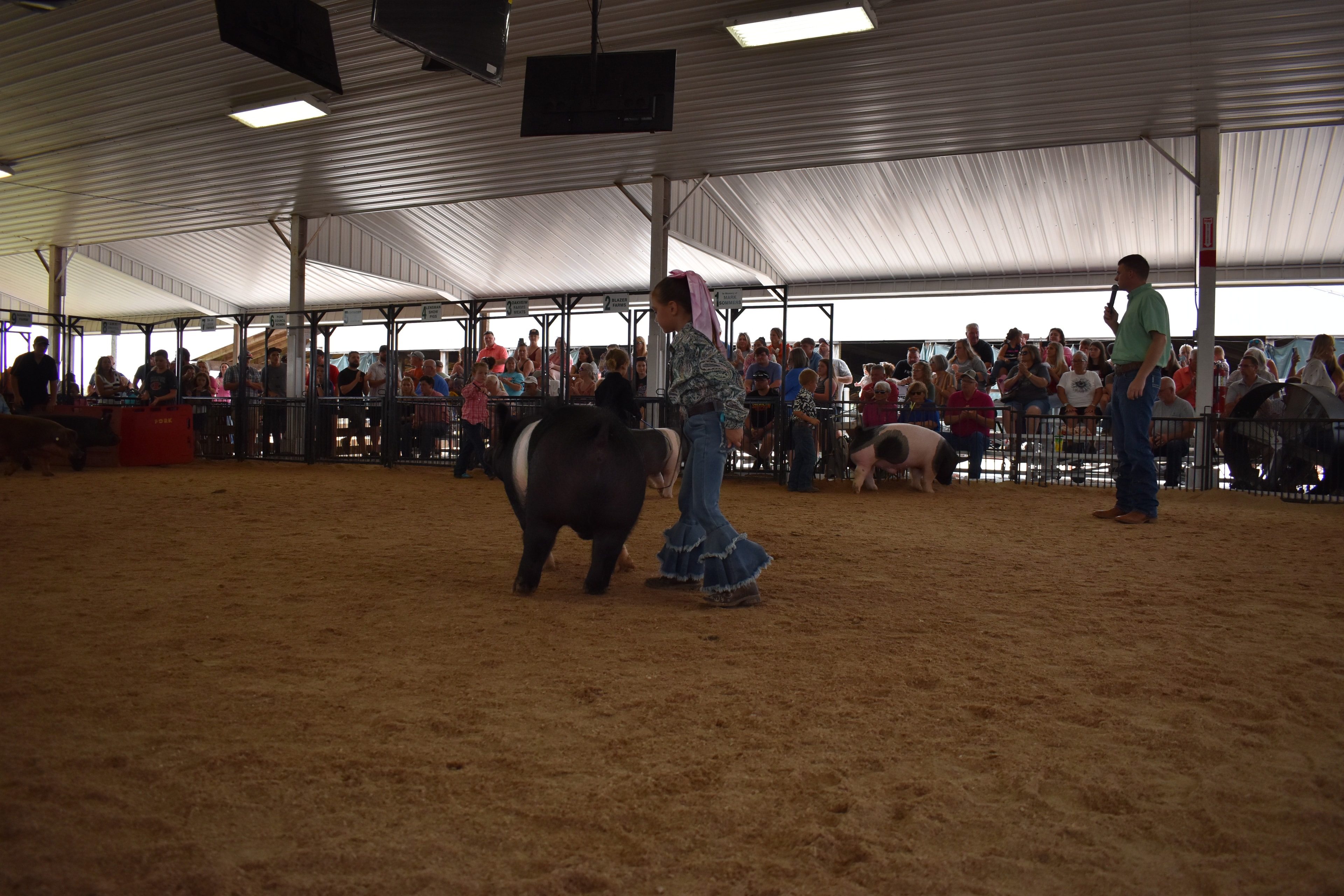 Girl in paisley shirt with pink bow steering Hampshire cross pig with girl in black shirt alongside