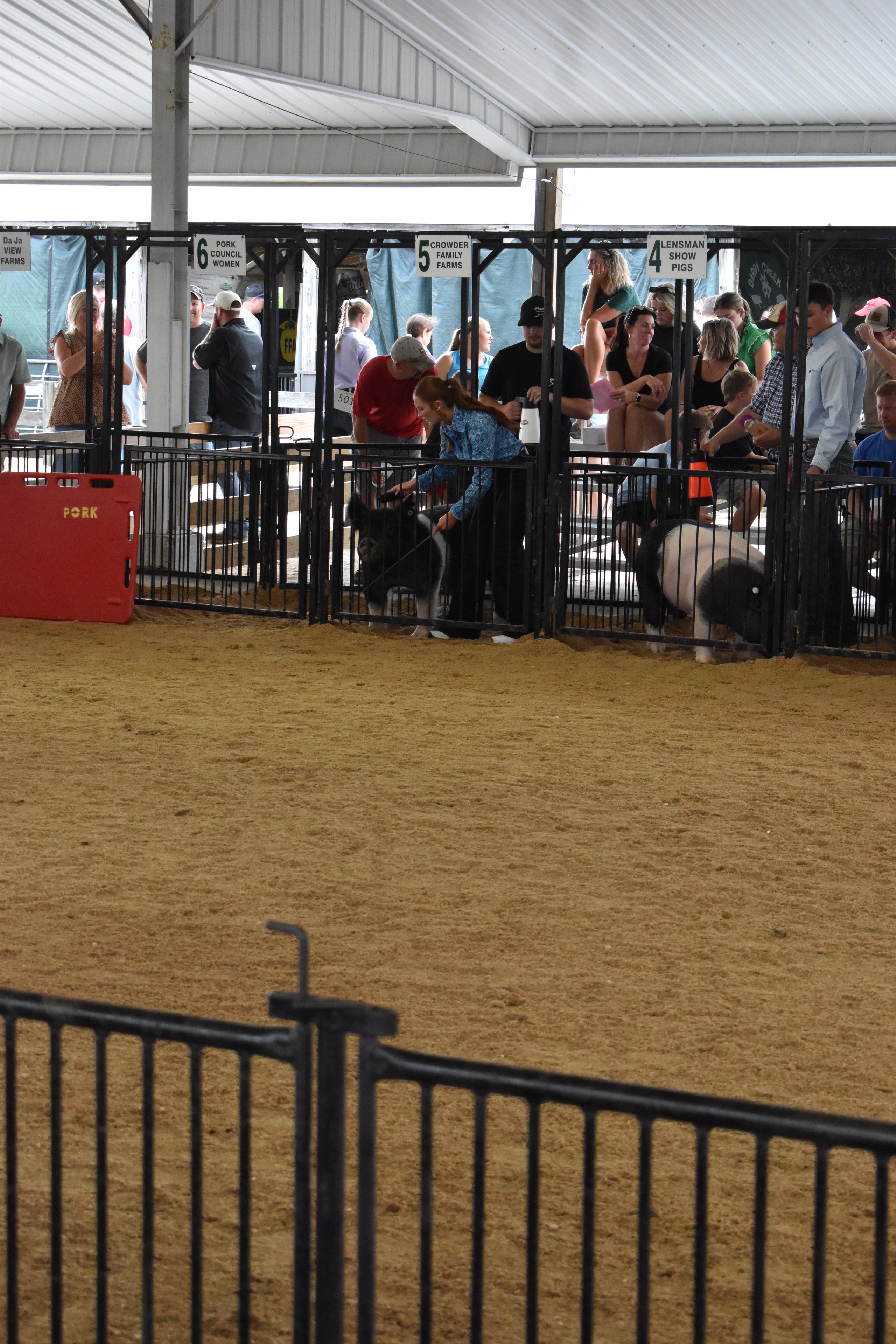 Spectators in sponsor pens watching the pig show arena at Champaign County Fair