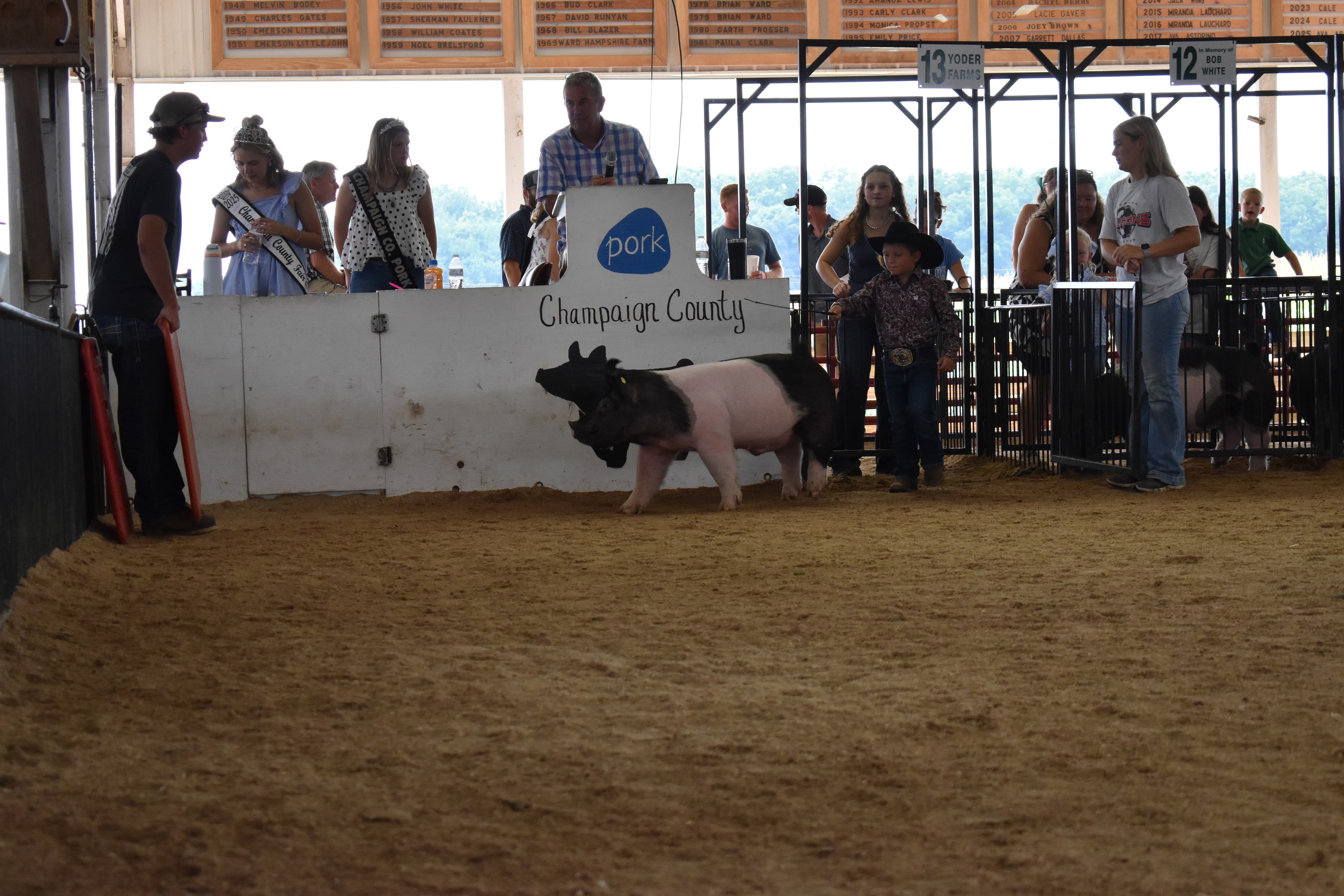 Small boy in black cowboy hat steering Hampshire cross pig with Pork Queen and announcer at podium in background