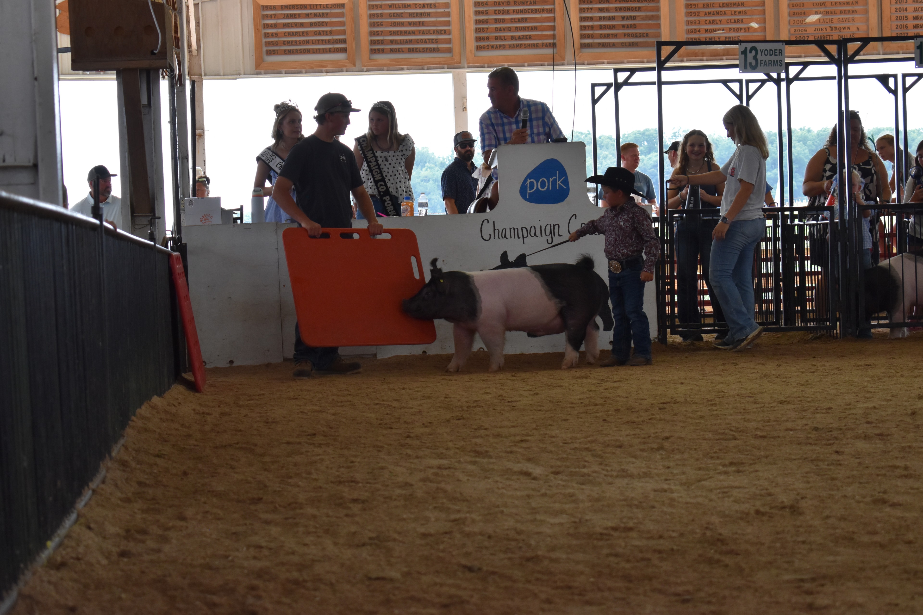 Small boy in black cowboy hat steering Hampshire cross pig with girl in blue gingham shirt alongside and packed grandstands