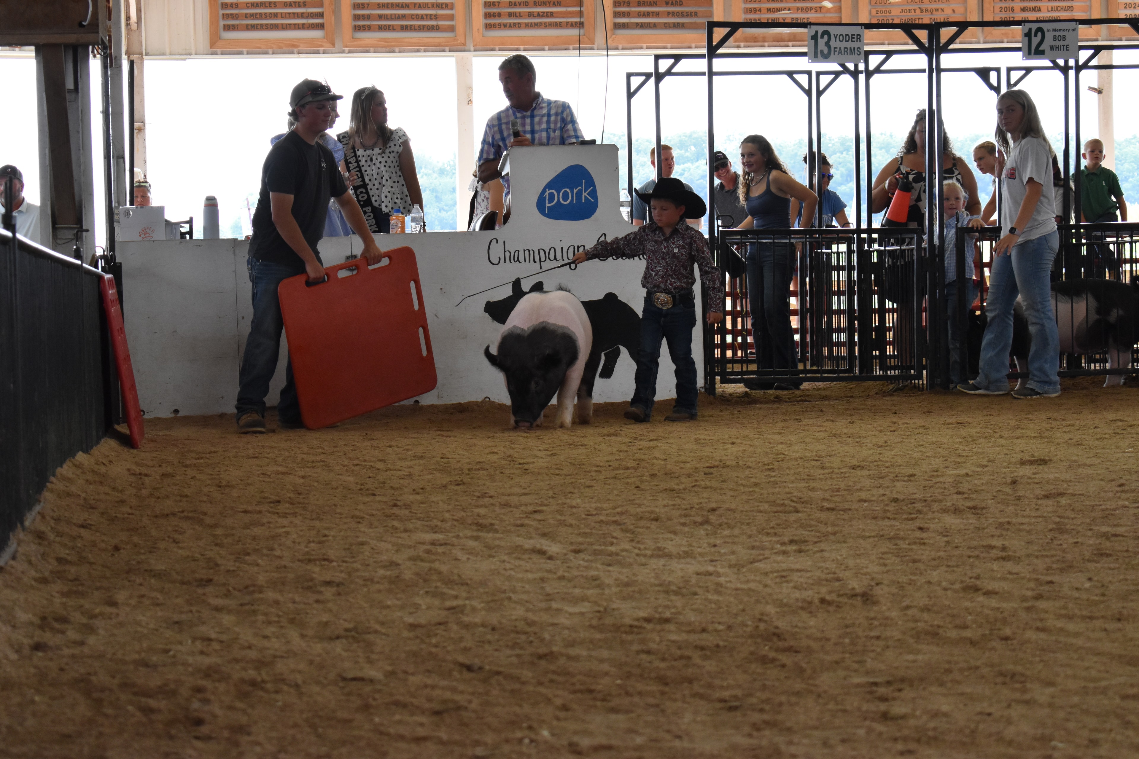 Small boy in black cowboy hat steering Hampshire cross pig with girl in blue gingham shirt and second pig in show ring