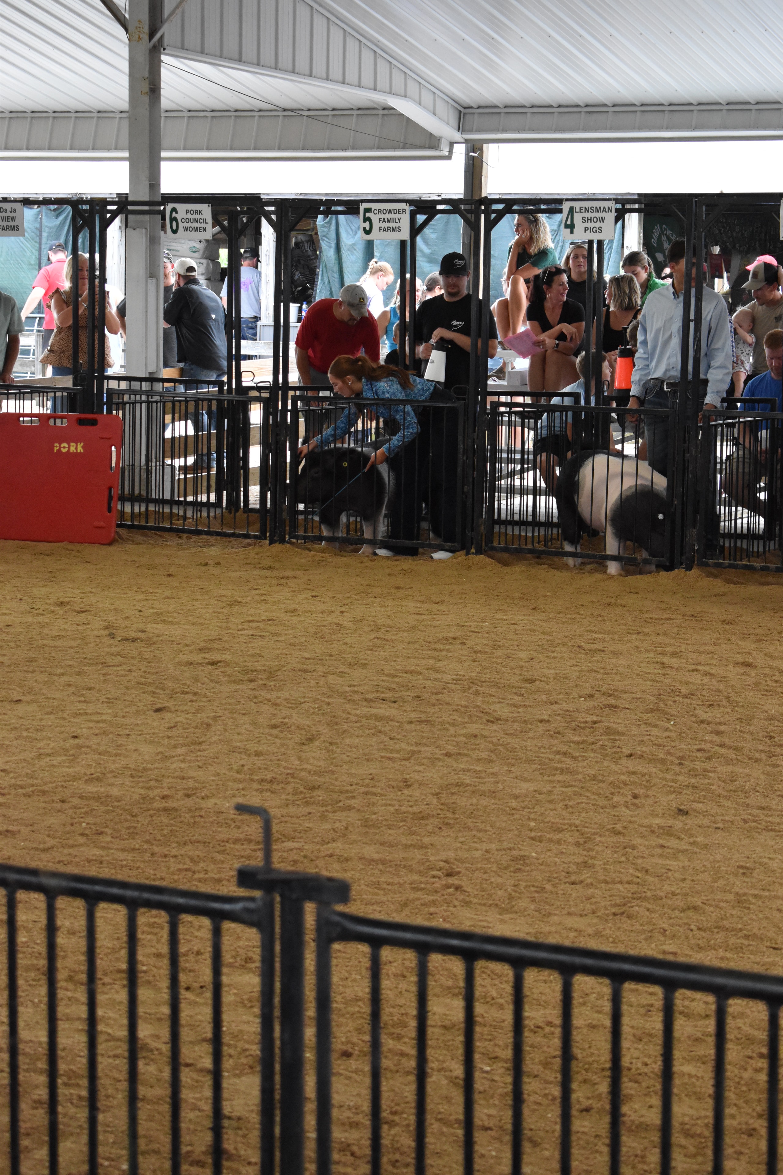 Fans watching from sponsor pens as pigs are shown in the arena