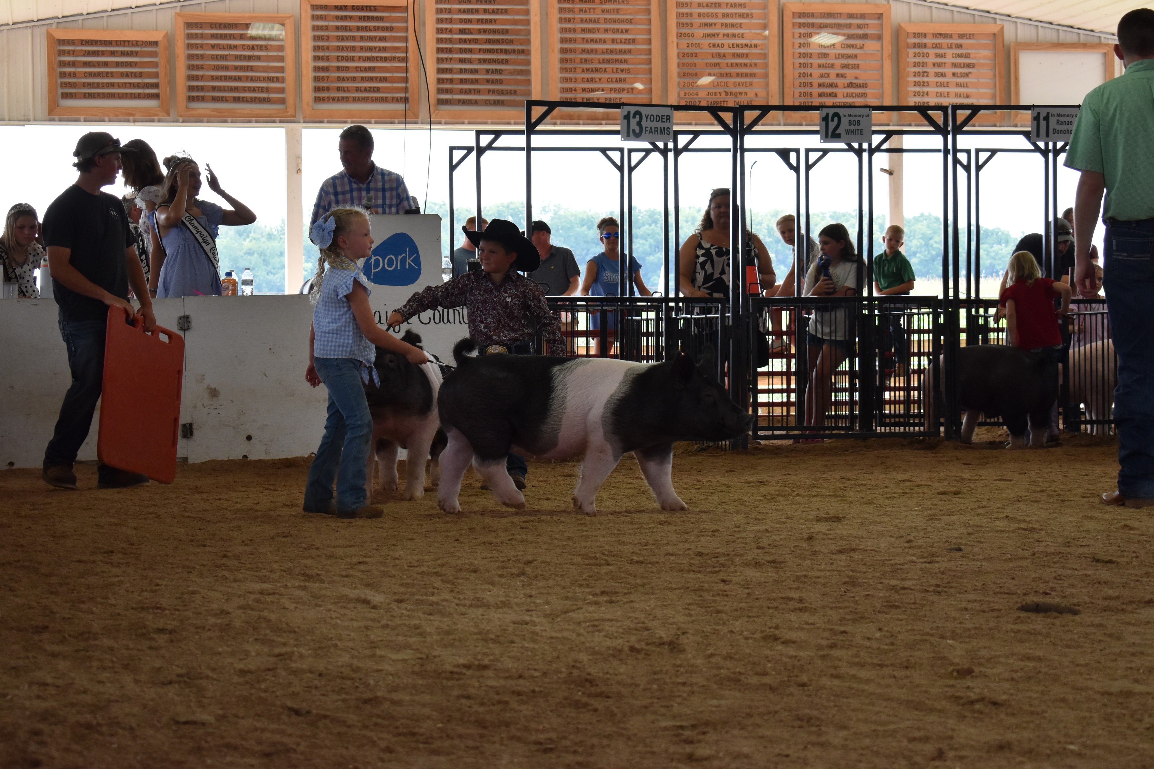Small boy in black cowboy hat steering Hampshire cross pig with girl in blue gingham shirt and second pig walking alongside