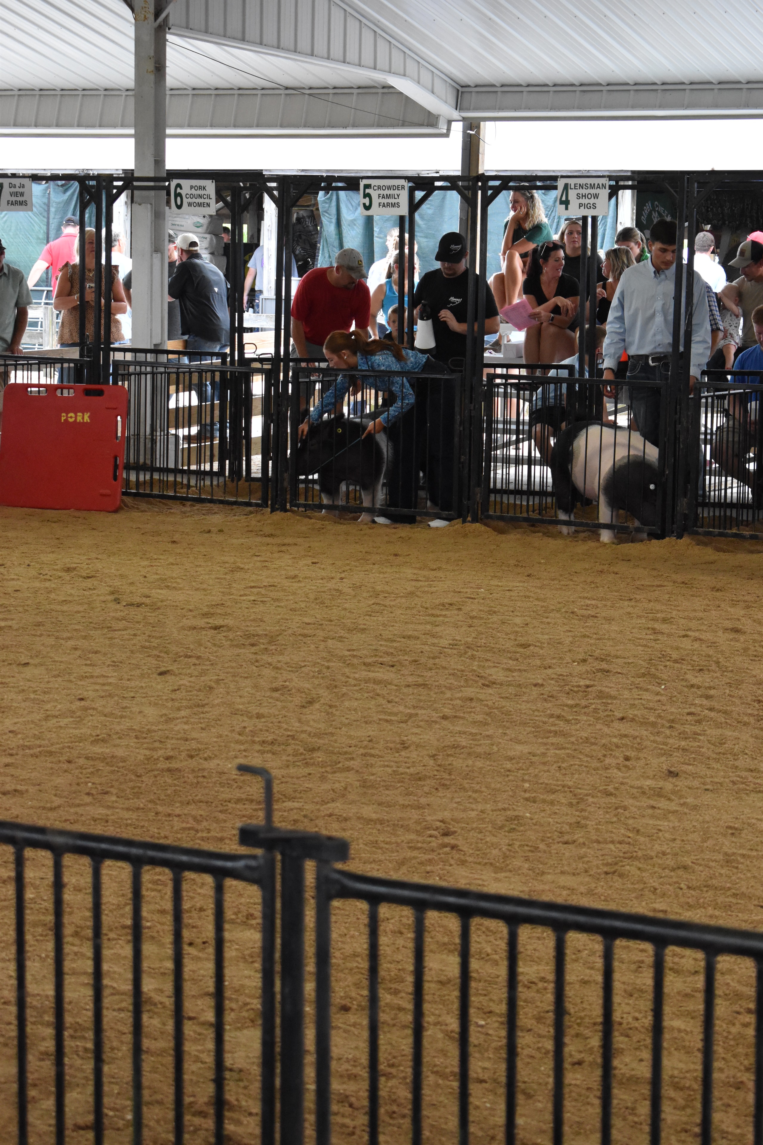 Spectators and exhibitors along the show ring fence at Champaign County Fair