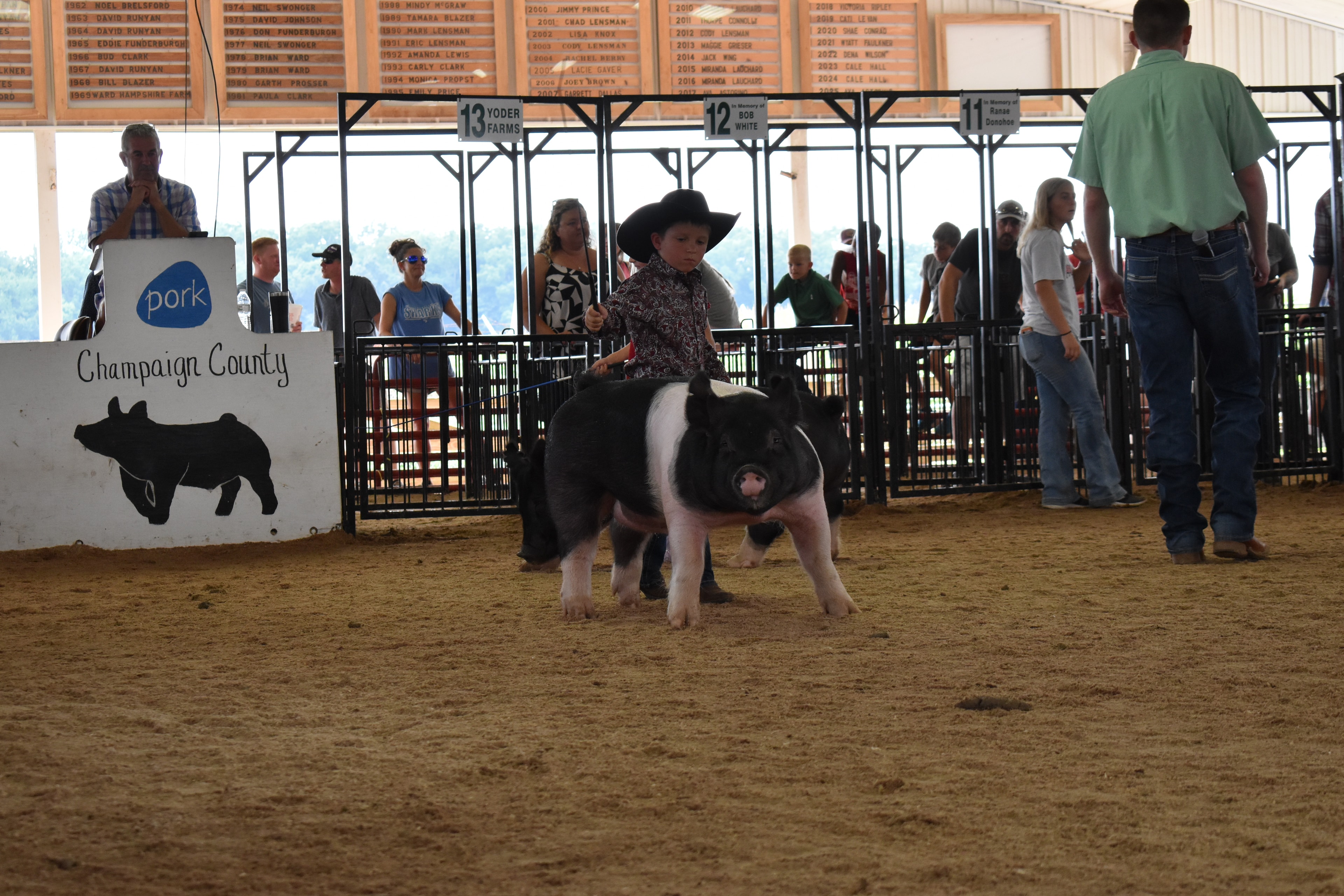Small boy in plaid shirt steering Hampshire cross pig past Champaign County Pork sign with packed arena and judge in green shirt