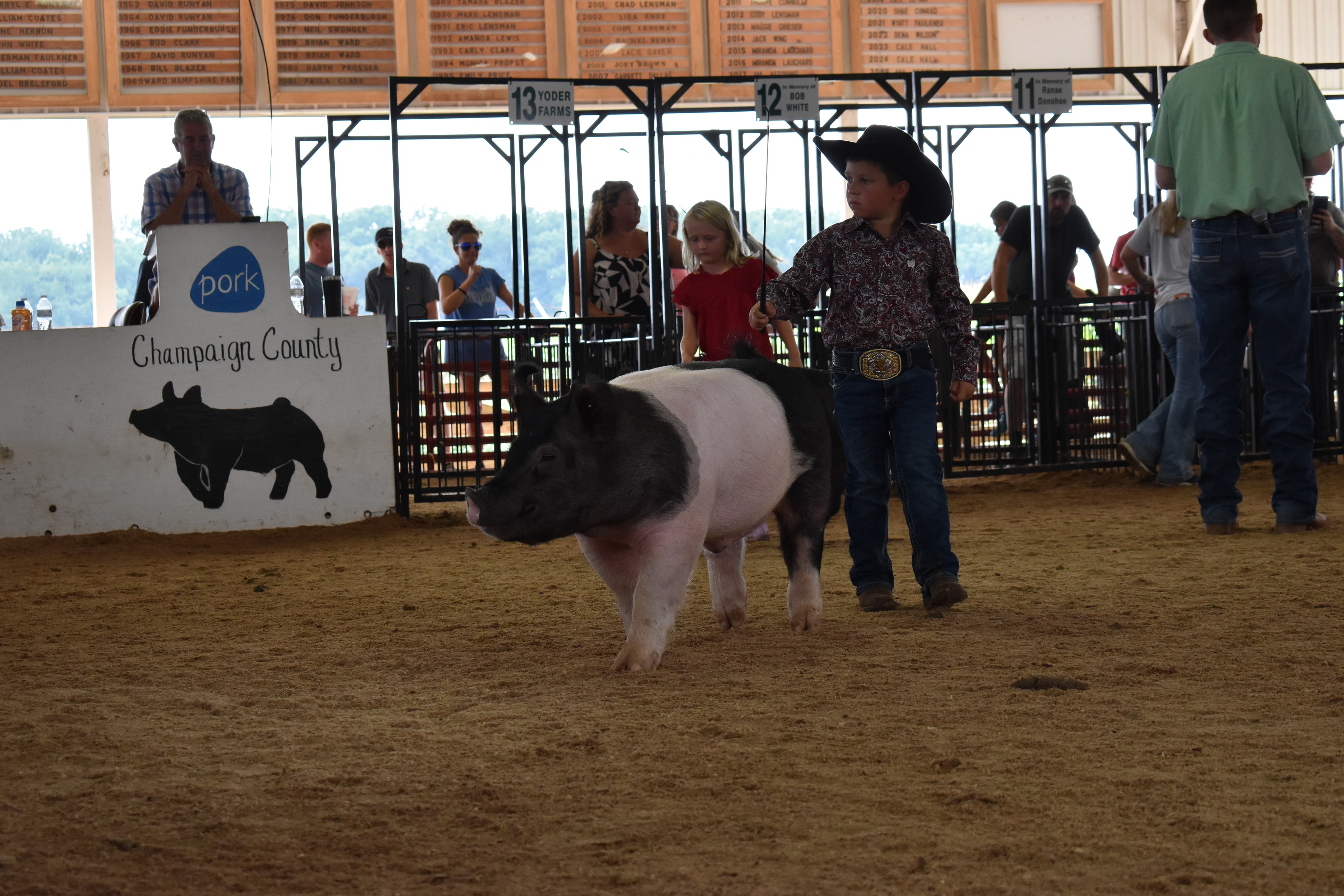Small boy in plaid shirt steering Hampshire cross pig facing camera with Champaign County Pork sign and judge in green shirt in background