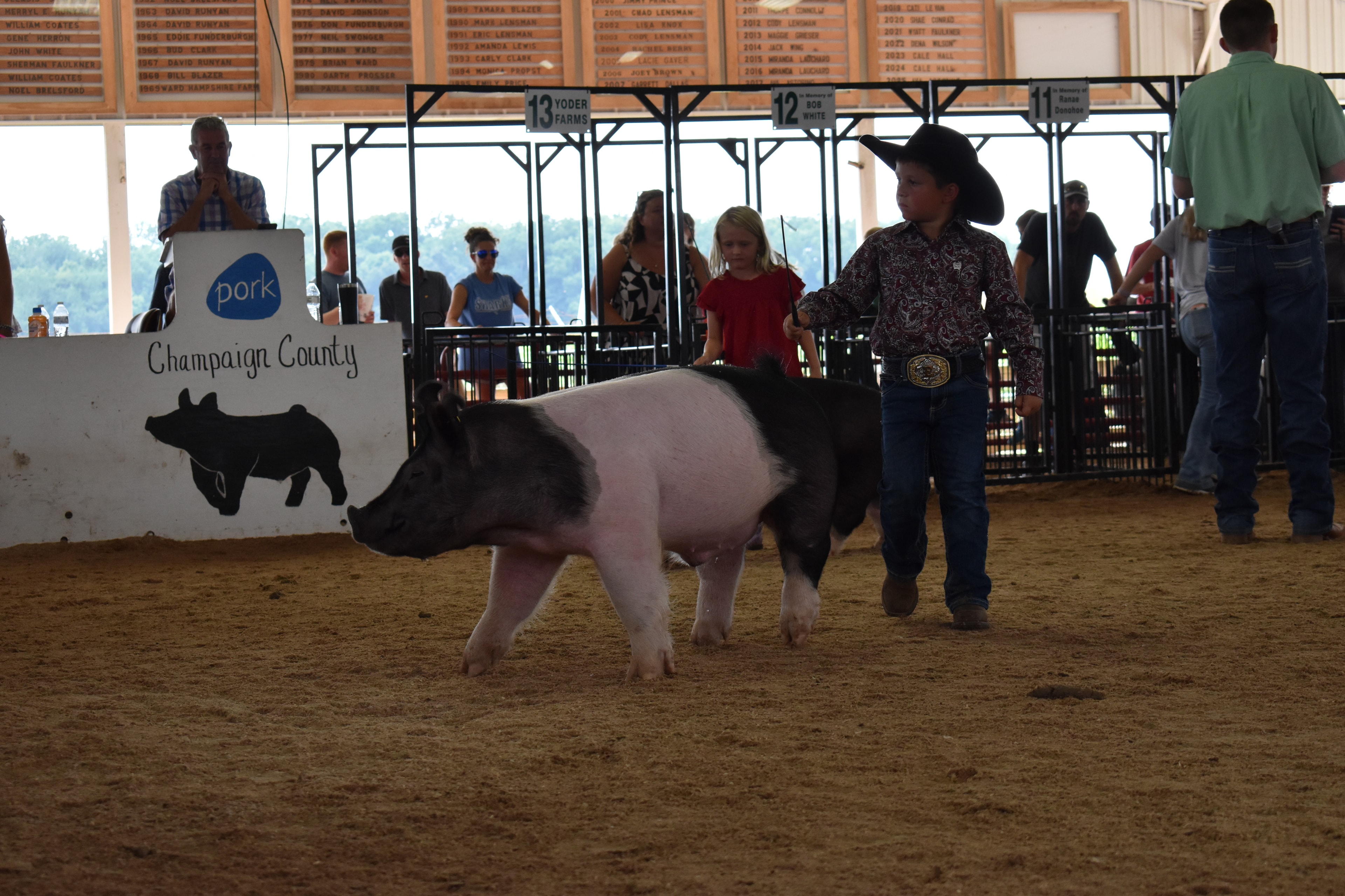 Small girl in pink striped dress steering large Hampshire cross pig past Mark IV Farm and Pork Council Women sponsor pens with packed grandstands