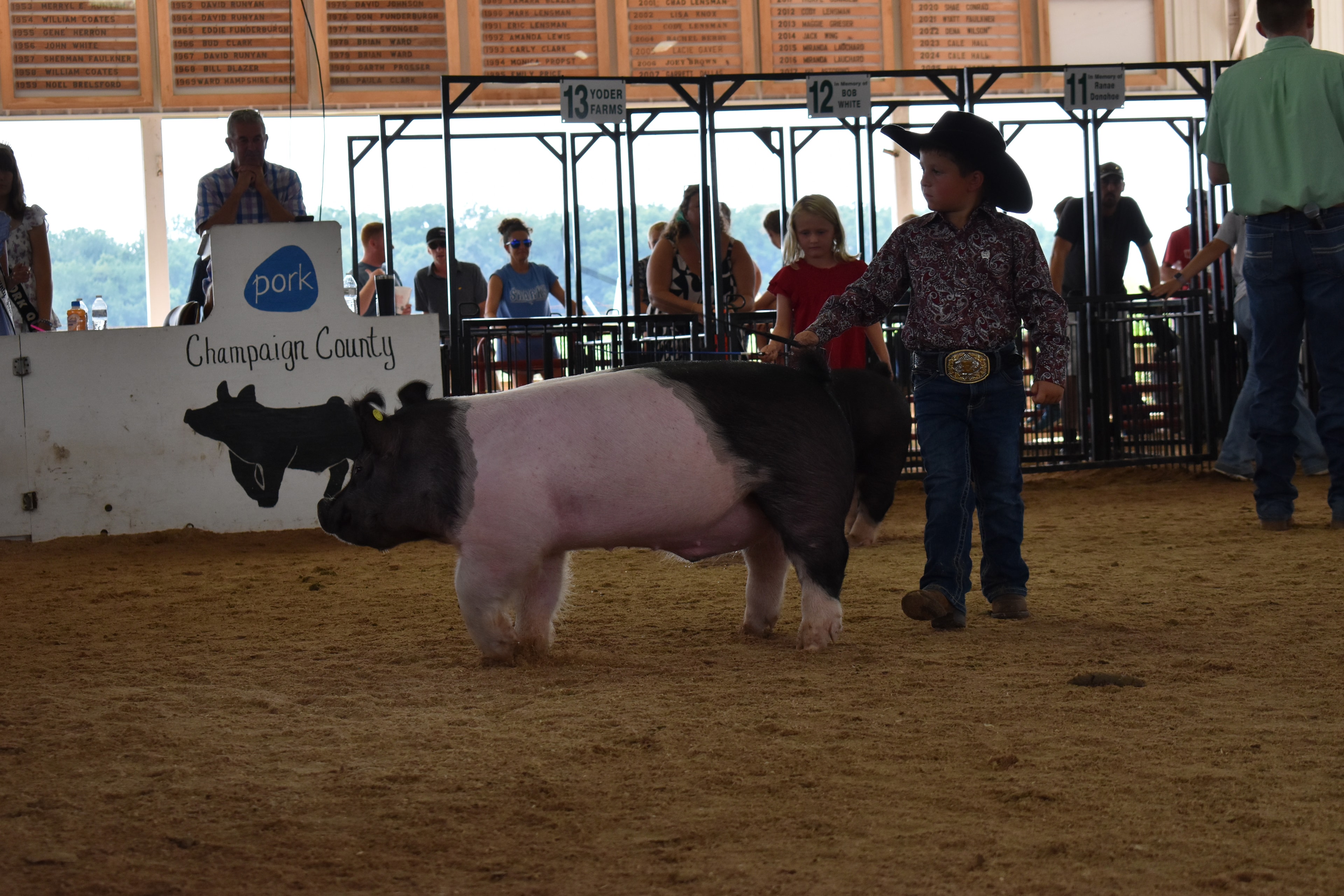Girl in blue gingham shirt with blue bow steering Hampshire cross pig toward camera with multiple exhibitors and past champions boards behind