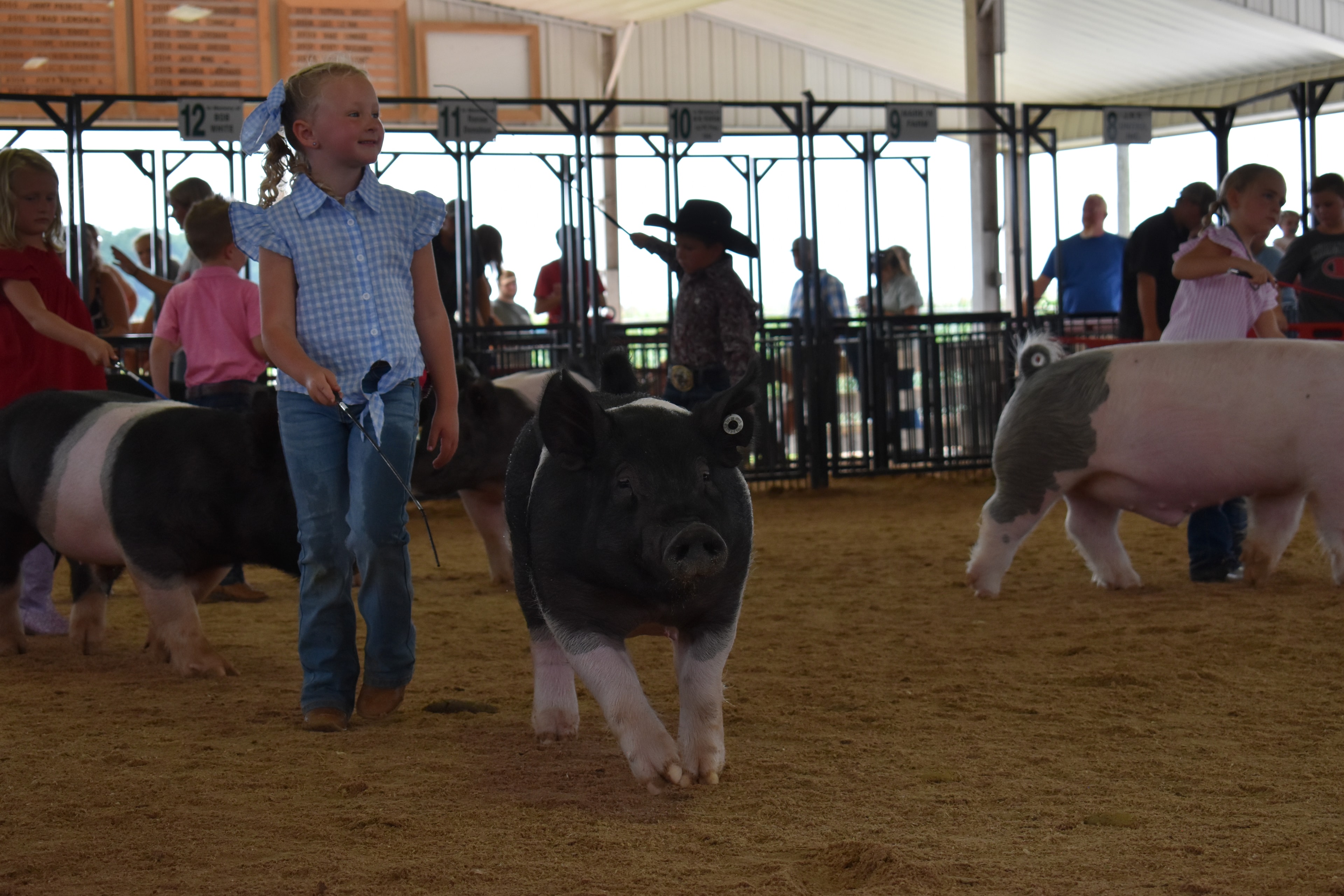 Boy in paisley shirt and black cowboy hat steering large Hampshire cross pig with Champaign County Pork sign and past champions boards glowing behind
