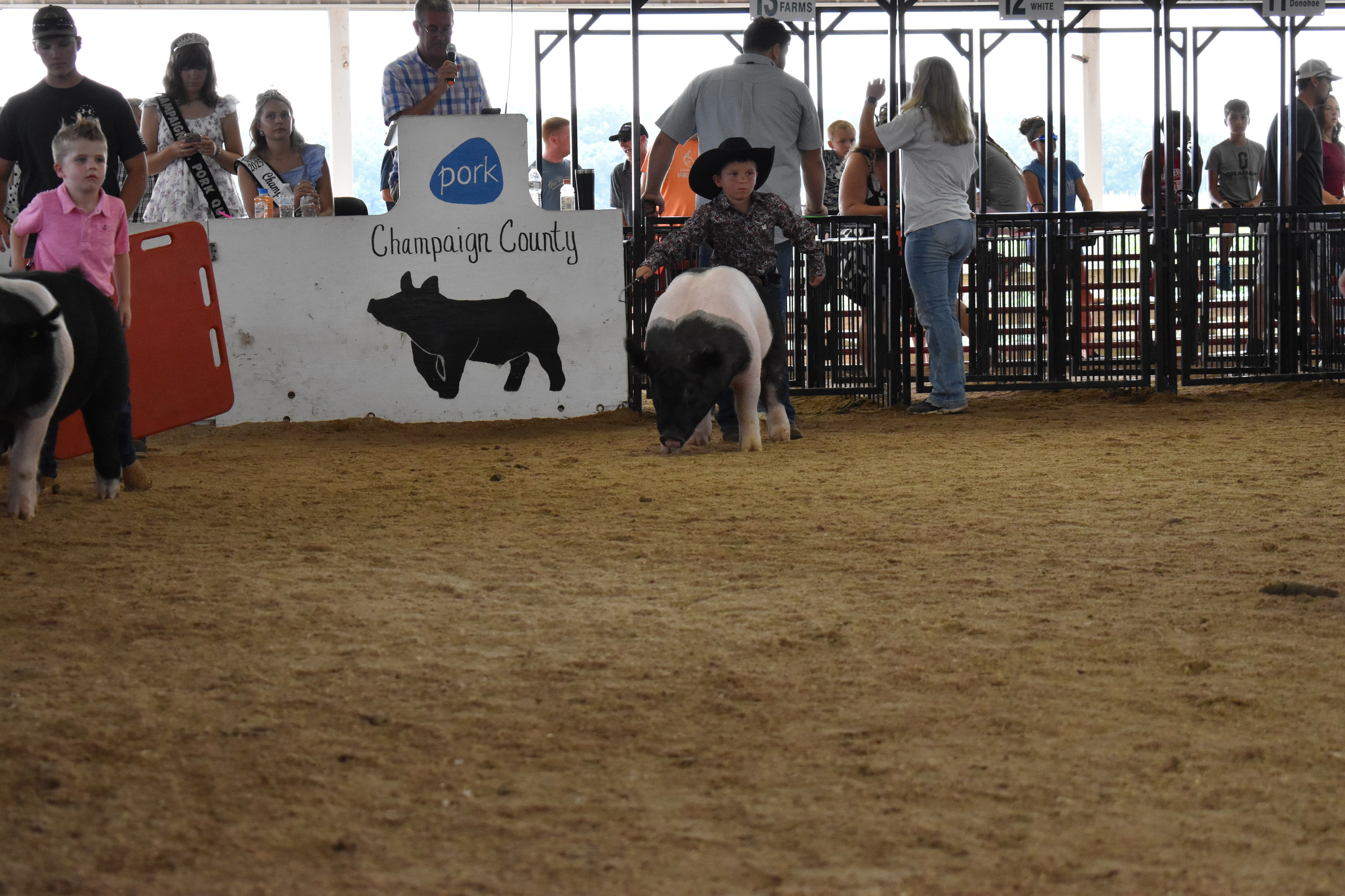 Girl in pink striped shirt steering large Hampshire cross pig past Lensman Show Pigs and Blazer Farms sponsor pens with packed grandstands