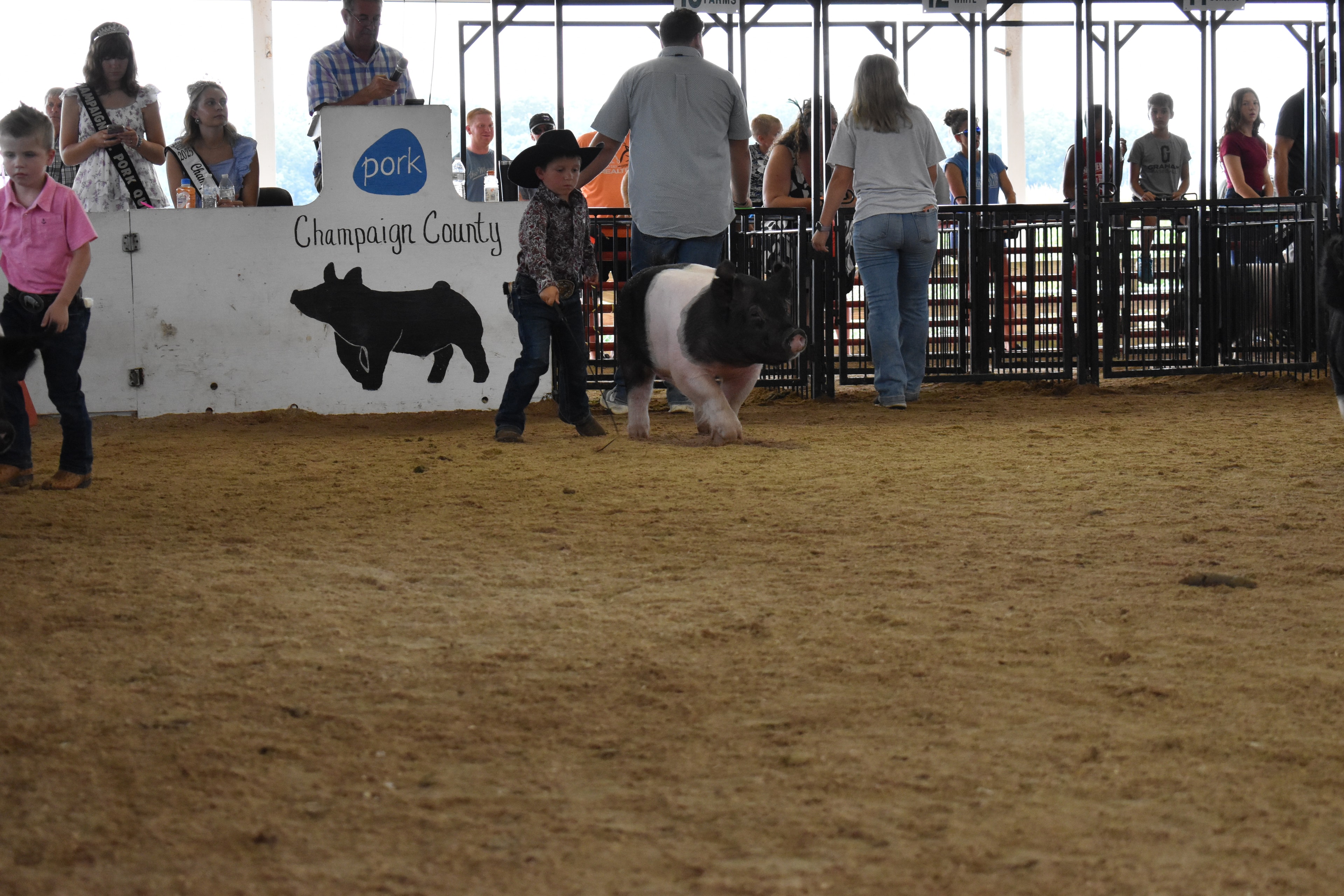Girl in red shirt steering Hampshire cross pig past Yoder Farms pen with past champions boards in background