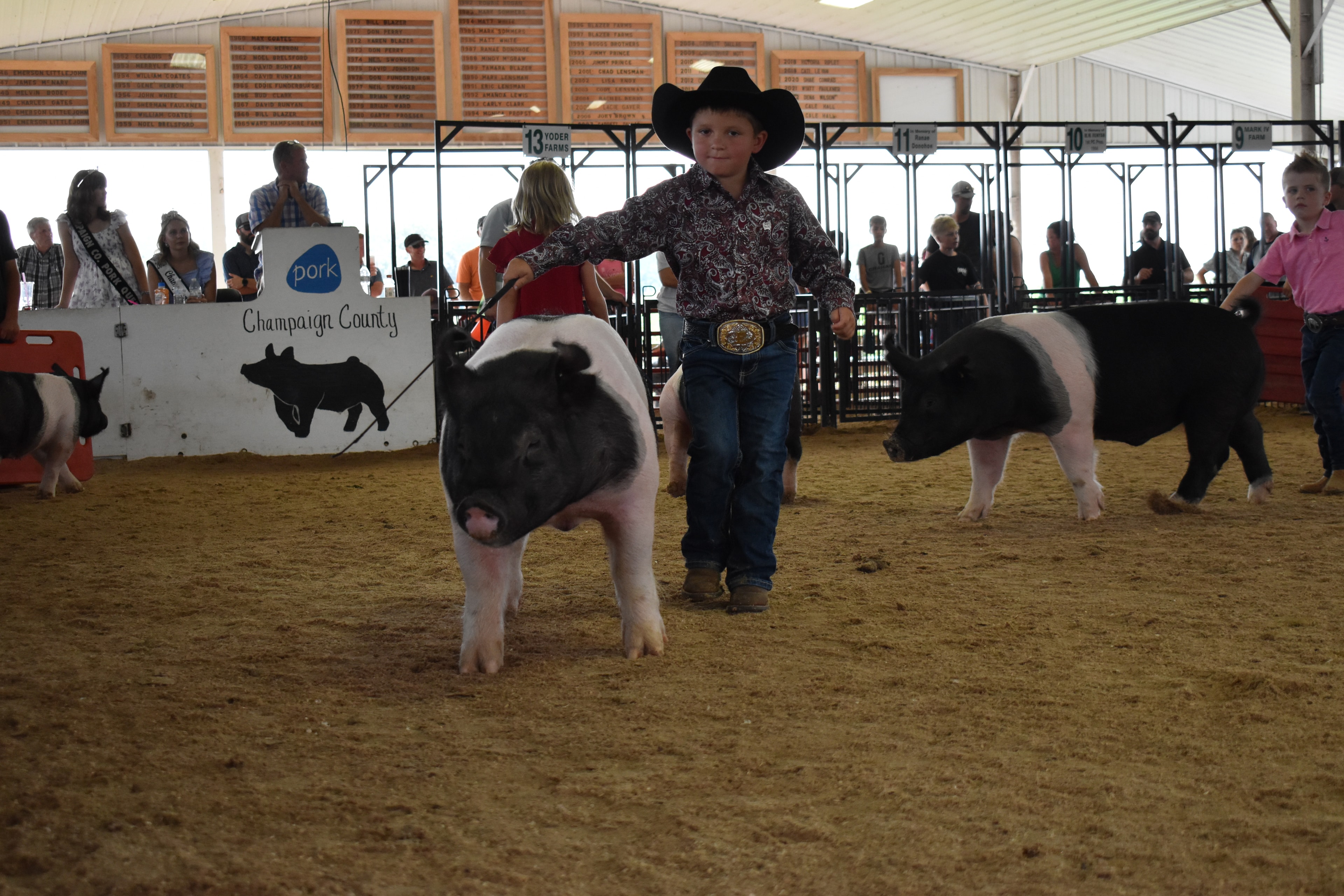 Small girl in blue gingham shirt with blue bow smiling broadly while steering large black-and-white Hampshire cross pig with girl in red shirt and second pig alongside — Lensman Show Pigs and Blazer Farms sponsor pens behind