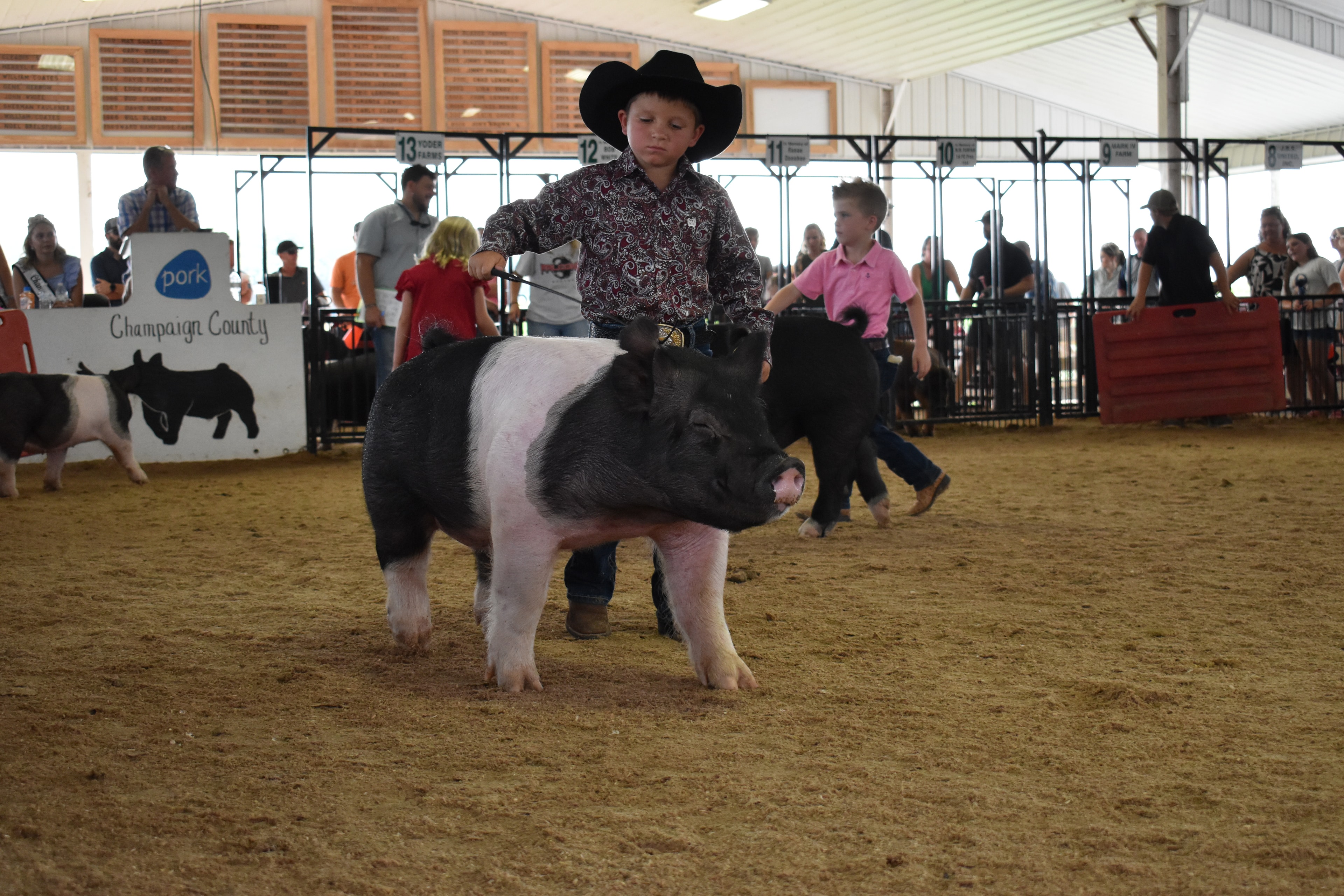 Young boy in black cowboy hat and paisley shirt steering massive black-and-white Hampshire cross pig head-on toward camera with packed grandstands and past champions boards behind