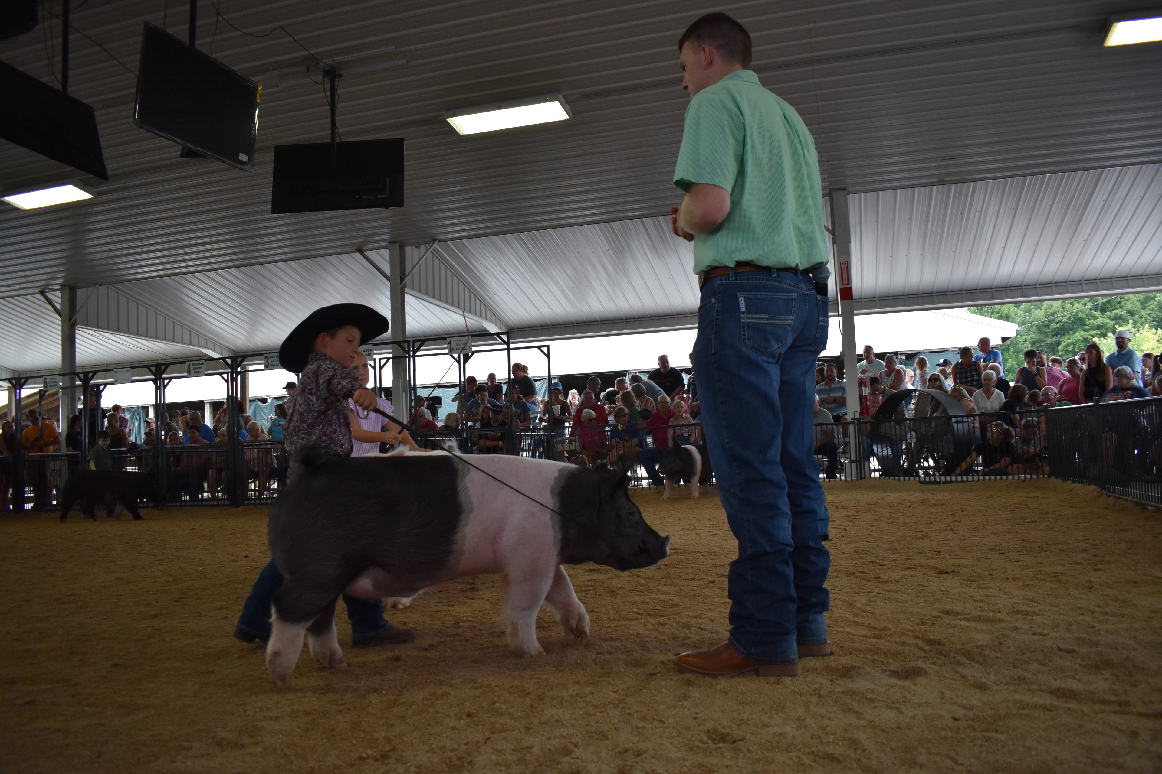 Judge in green shirt leaning toward large black-and-white Hampshire cross pig while young boy in black cowboy hat and paisley shirt and teenage girl in Falcons Soccer shirt watch — packed grandstands behind