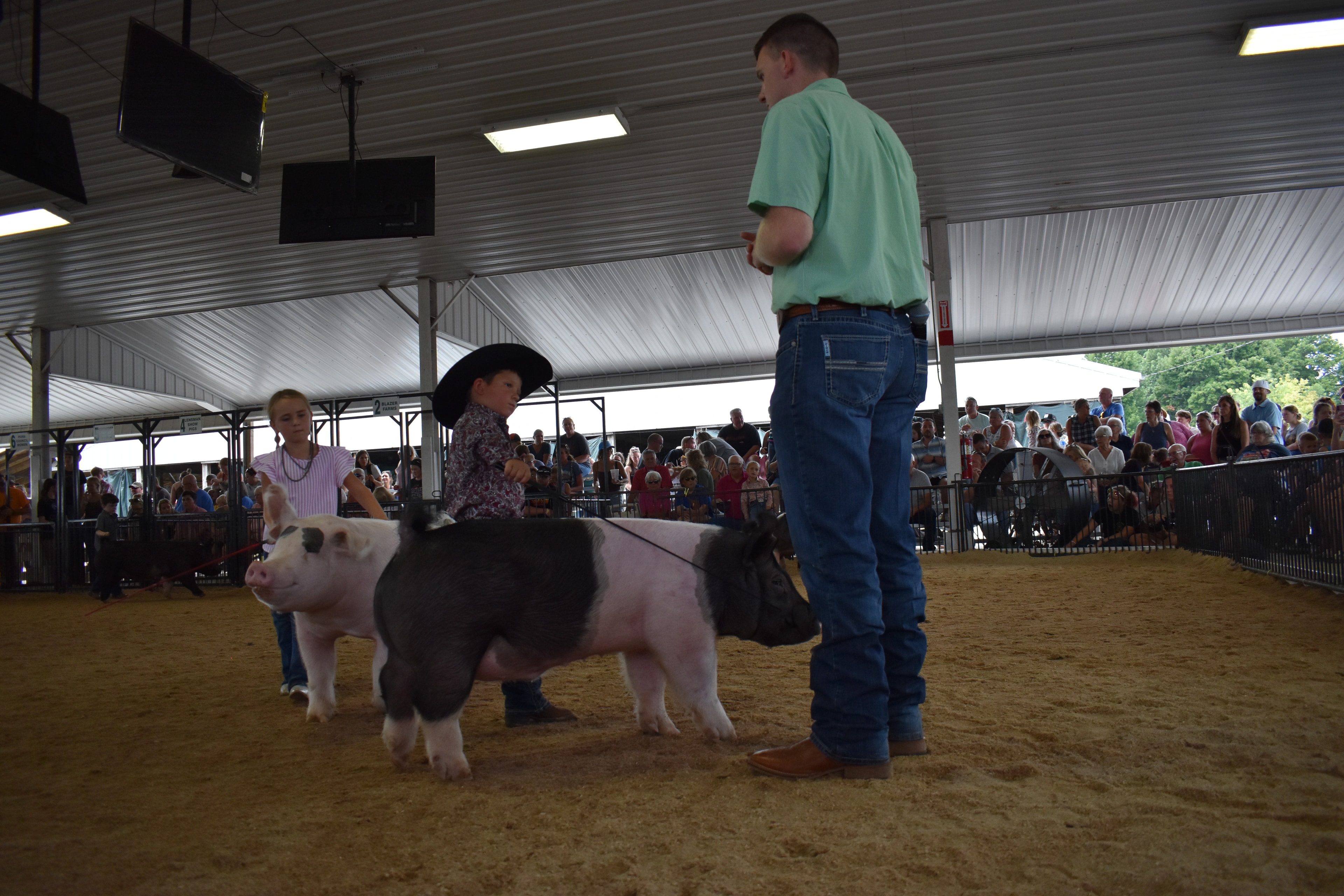 Judge in green shirt walking alongside large black-and-white Hampshire cross pig while young boy in black cowboy hat and paisley shirt steers — teenage girl in Falcons Soccer shirt and packed grandstands behind