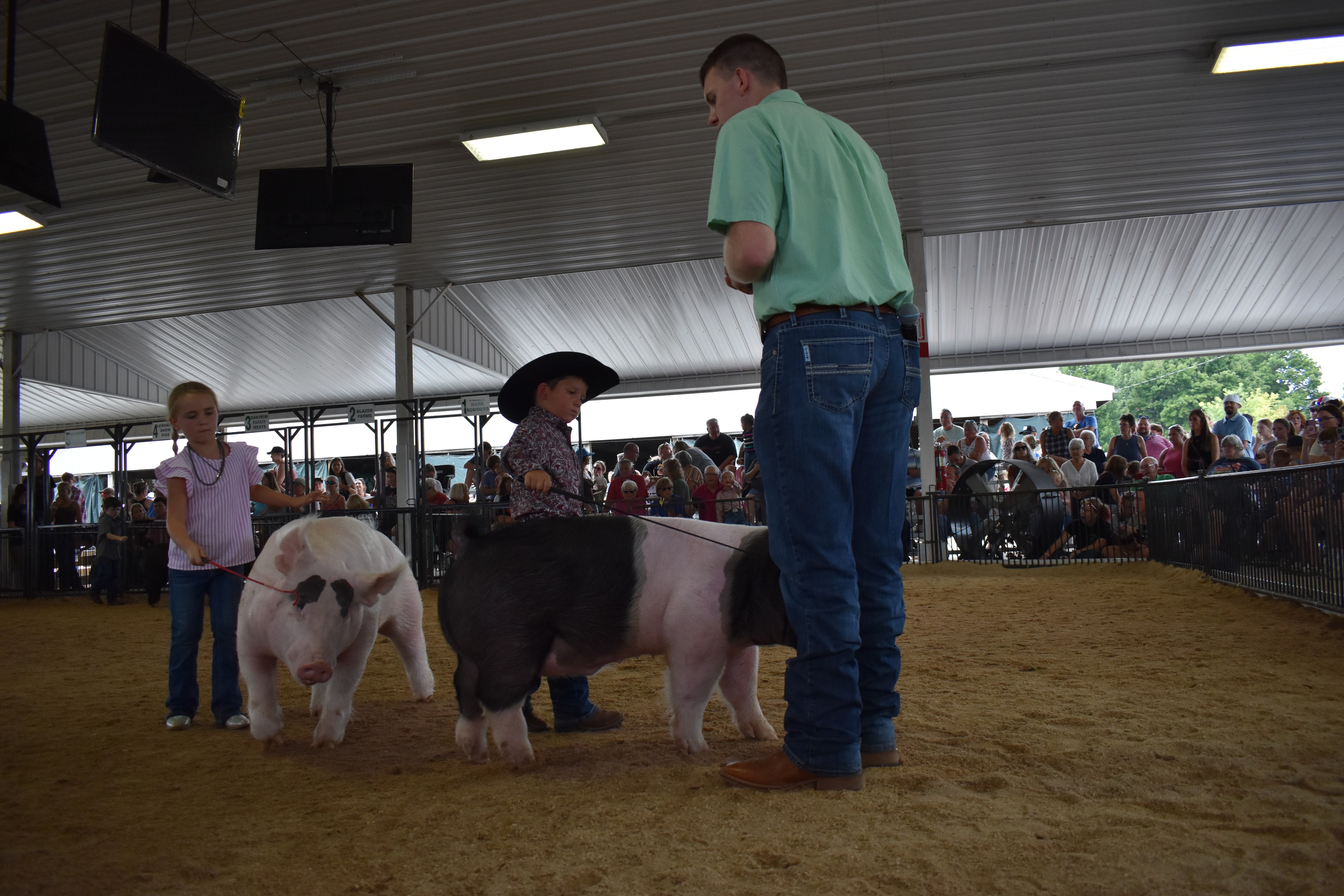 Girl in blue gingham shirt with blue bow steering large black-and-white Hampshire cross pig past Lensman Show Pigs, Oakview Farms Meats, Blazer Farms, and Mark Sommers sponsor pens with judge in green shirt and packed grandstands