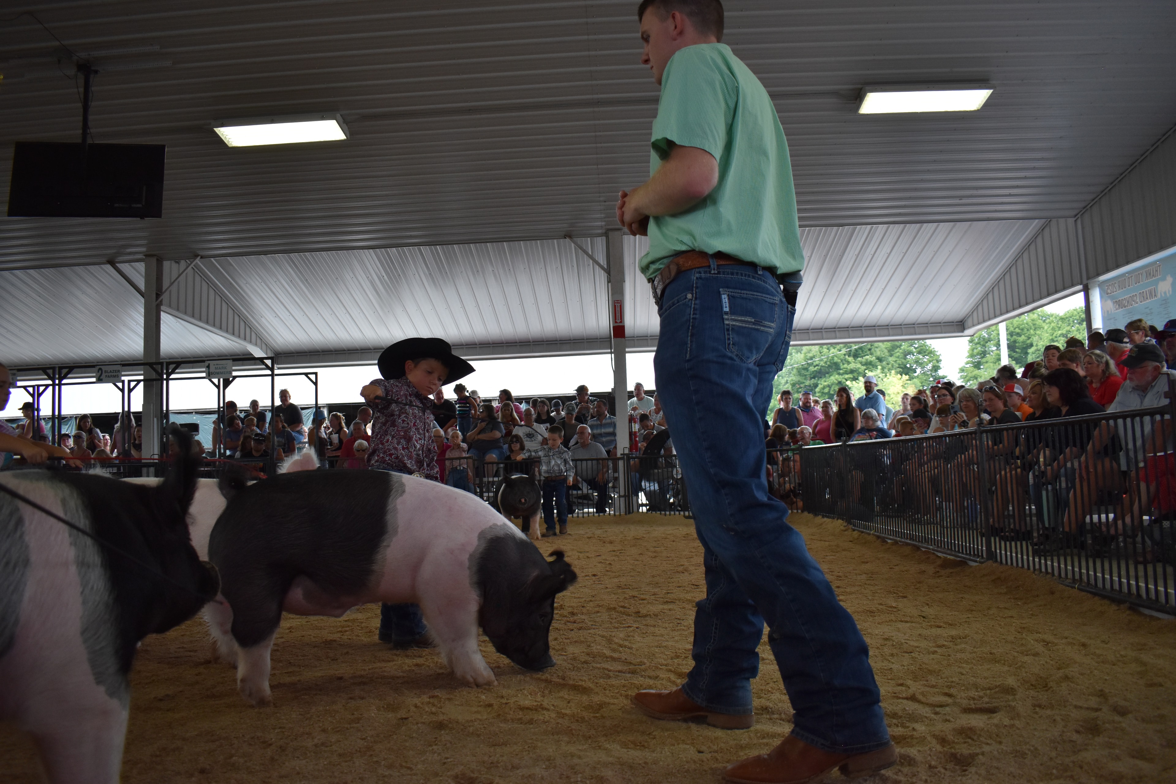 Young boy in black cowboy hat and paisley shirt steering large black-and-white Hampshire cross pig on lead rope with judge in green shirt watching — packed grandstands and crowd behind