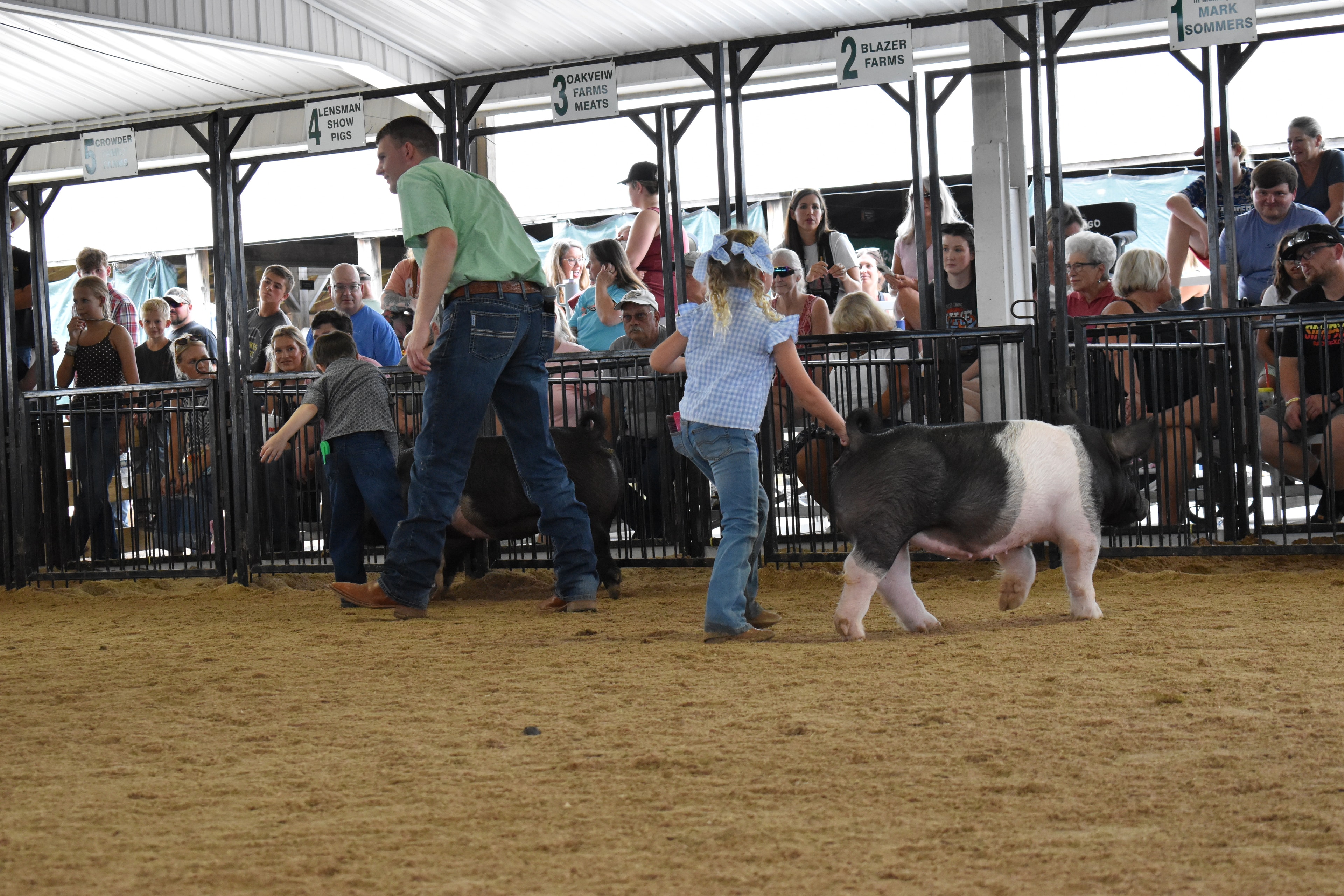 Young boy in black cowboy hat and paisley shirt steering large black Hampshire cross pig nose-down with girl in pink striped shirt and spotted pig facing camera alongside — Oakview Farms Meats and Blazer Farms sponsor pens behind
