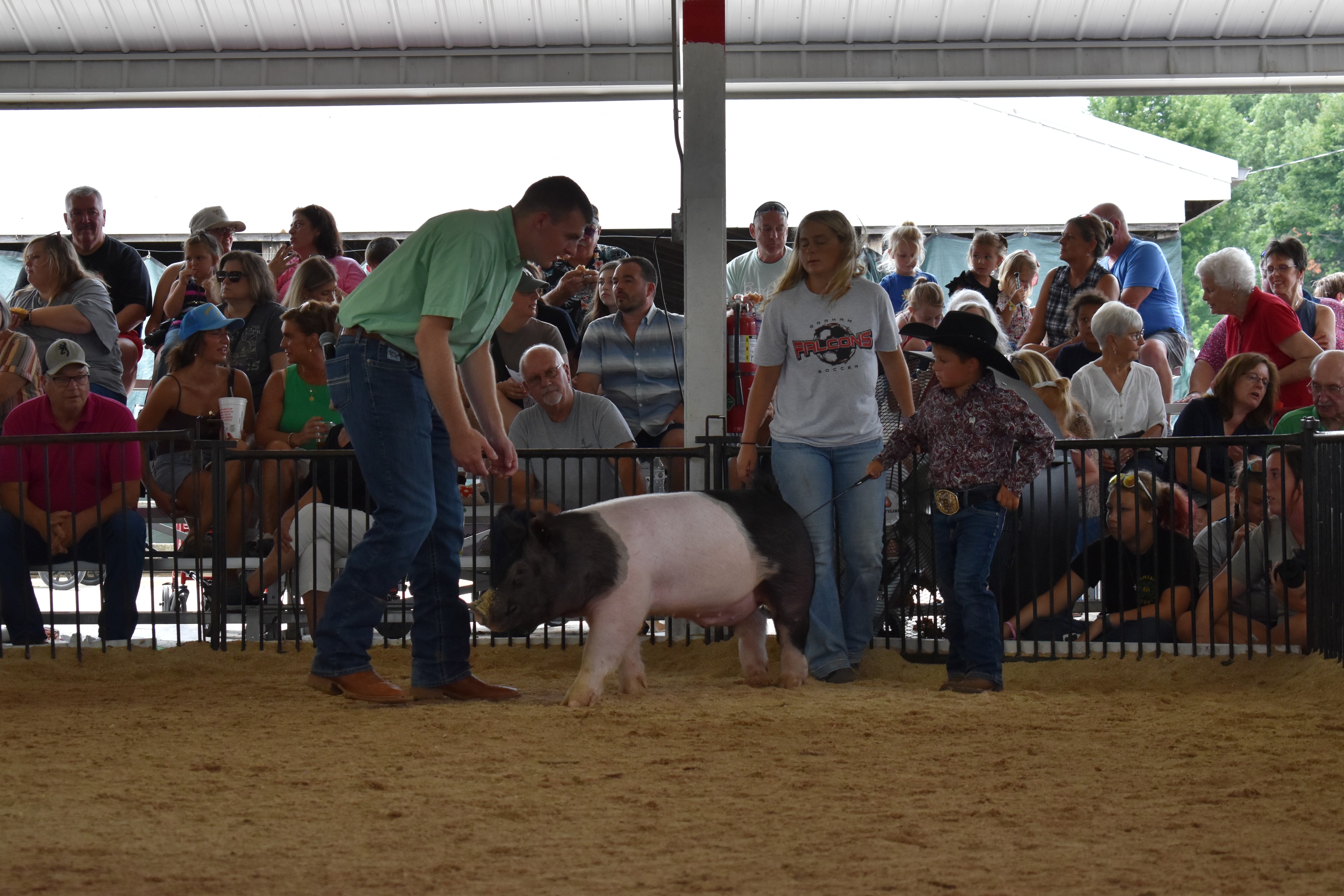 Young boy in black cowboy hat and paisley shirt steering large black Hampshire cross pig with judge in green shirt standing nearby and girl in pink striped shirt with spotted pig behind — packed grandstands