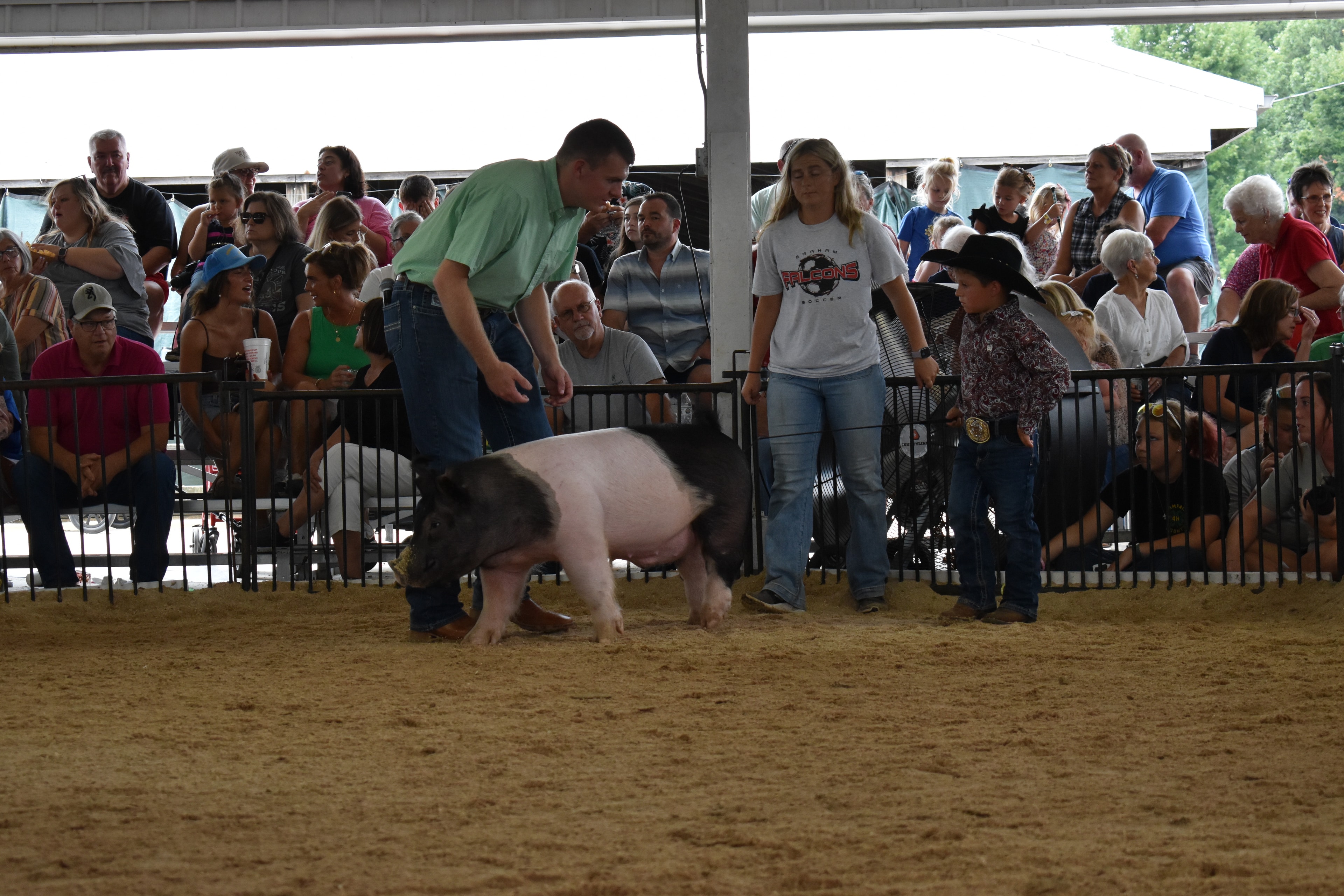 Young boy in black cowboy hat and paisley shirt steering large black Hampshire cross pig while judge in green shirt watches and girl in pink striped shirt with spotted pig stands alongside — packed grandstands behind