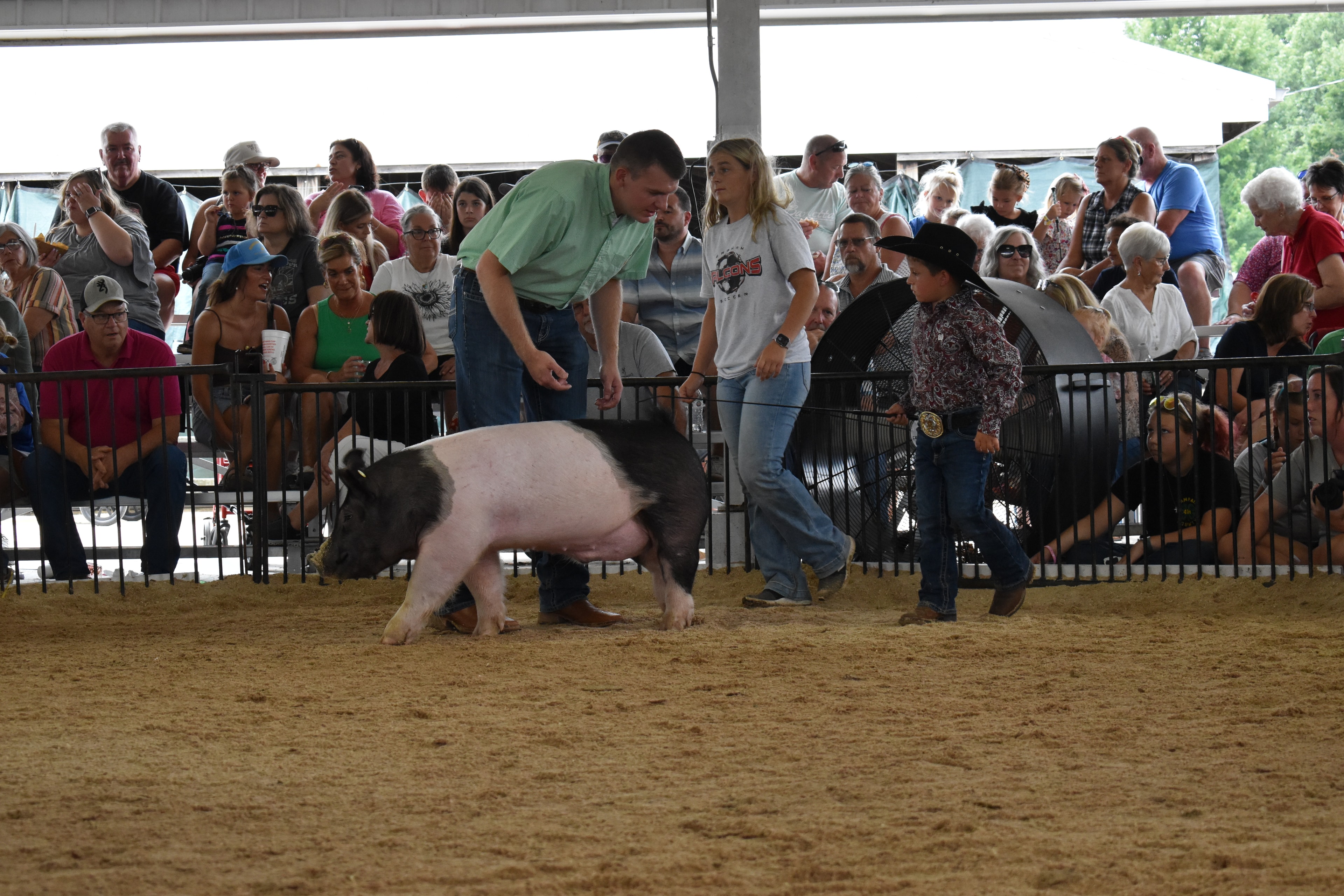 Small boy in black cowboy hat and paisley shirt steering large black-and-white Hampshire cross pig with judge in green shirt leaning over to coach him — packed grandstands and large arena fan behind