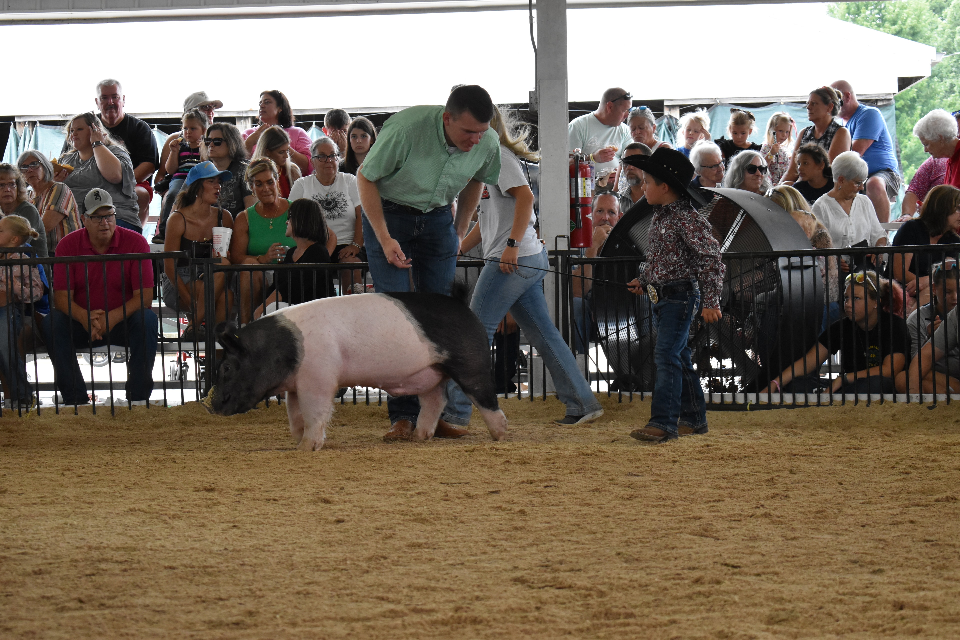 Small boy in black cowboy hat and paisley shirt steering large black-and-white Hampshire cross pig with judge in green shirt leaning in close — packed grandstands and arena fan behind
