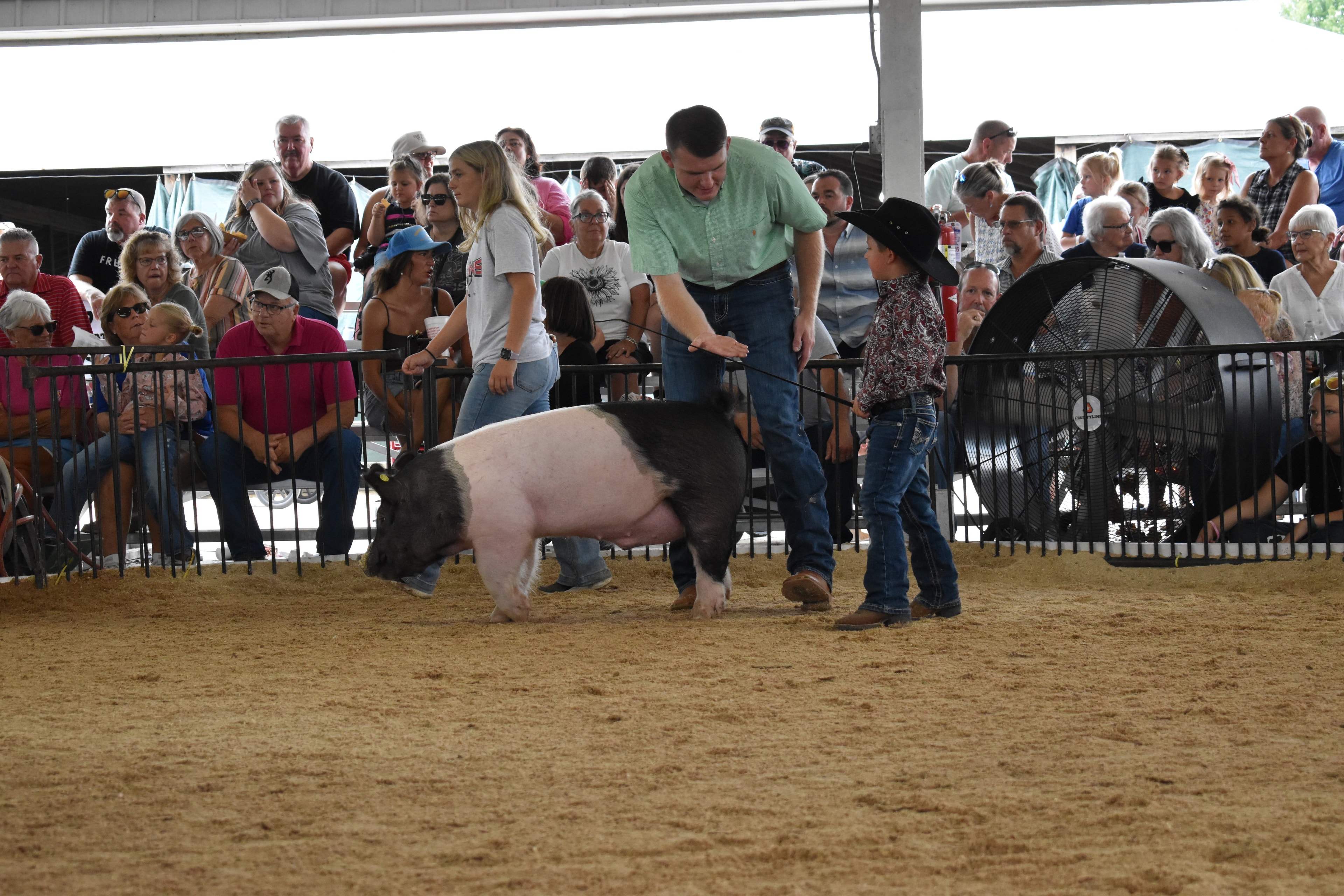 Small boy in black cowboy hat and paisley shirt steering large black-and-white Hampshire cross pig facing judge in green shirt — Mark Sommers memorial sign visible in background with packed grandstands