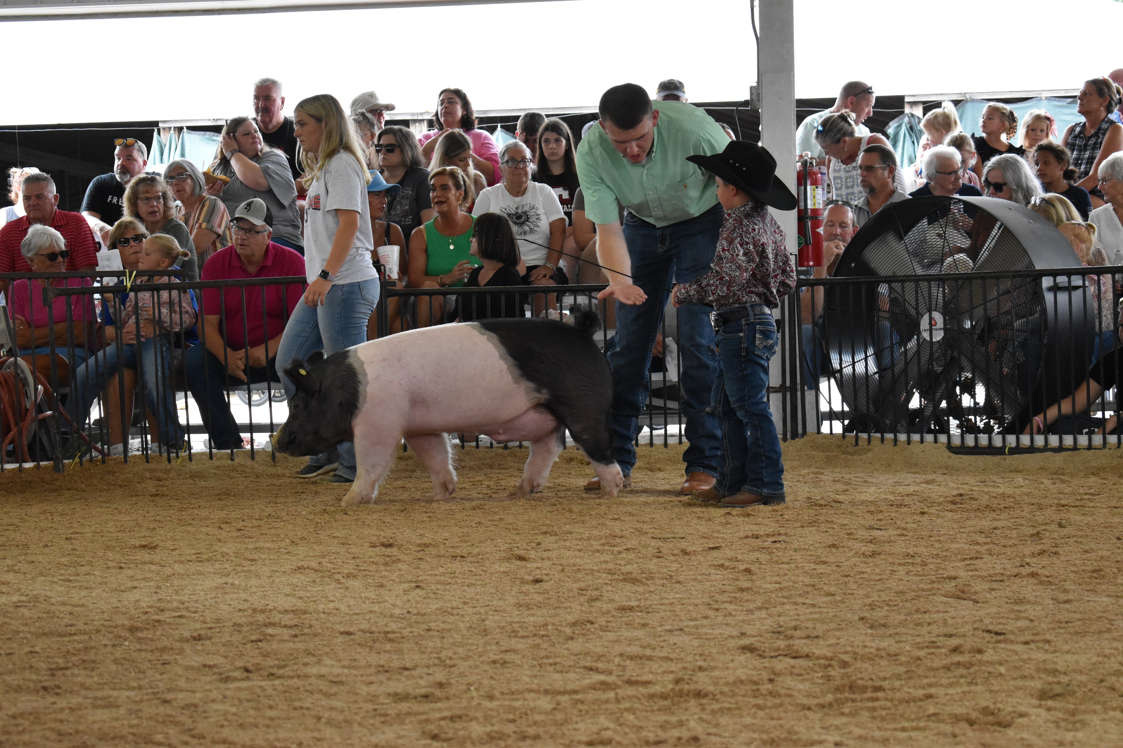 Small boy in black cowboy hat and paisley shirt steering large black-and-white Hampshire cross pig with judge in green shirt bending toward him — girl in blue gingham shirt visible at left with packed grandstands