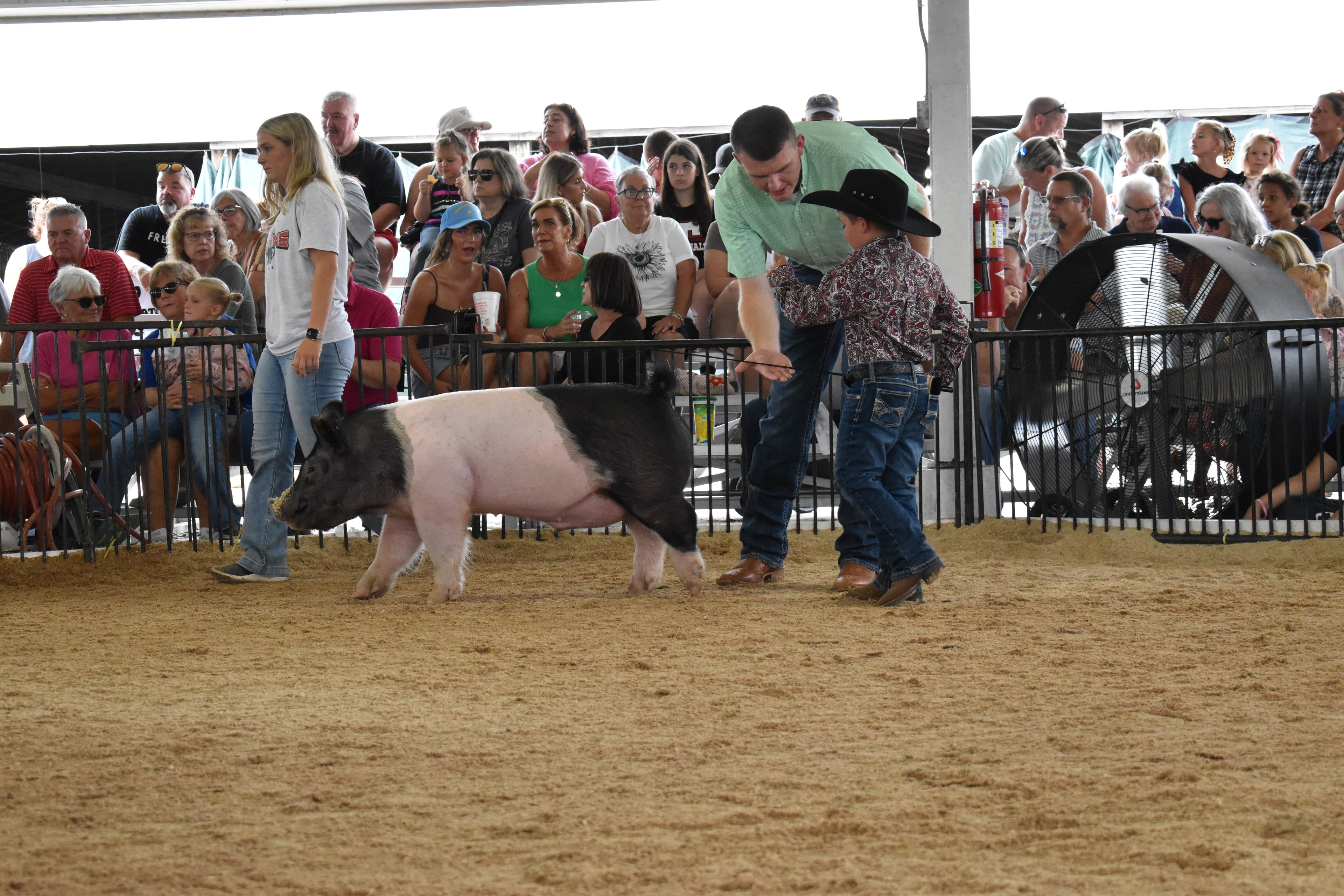 Small boy in black cowboy hat and paisley shirt steering large black-and-white Hampshire cross pig with judge in green shirt leaning in — girl in Falcons Soccer shirt walking behind with packed grandstands