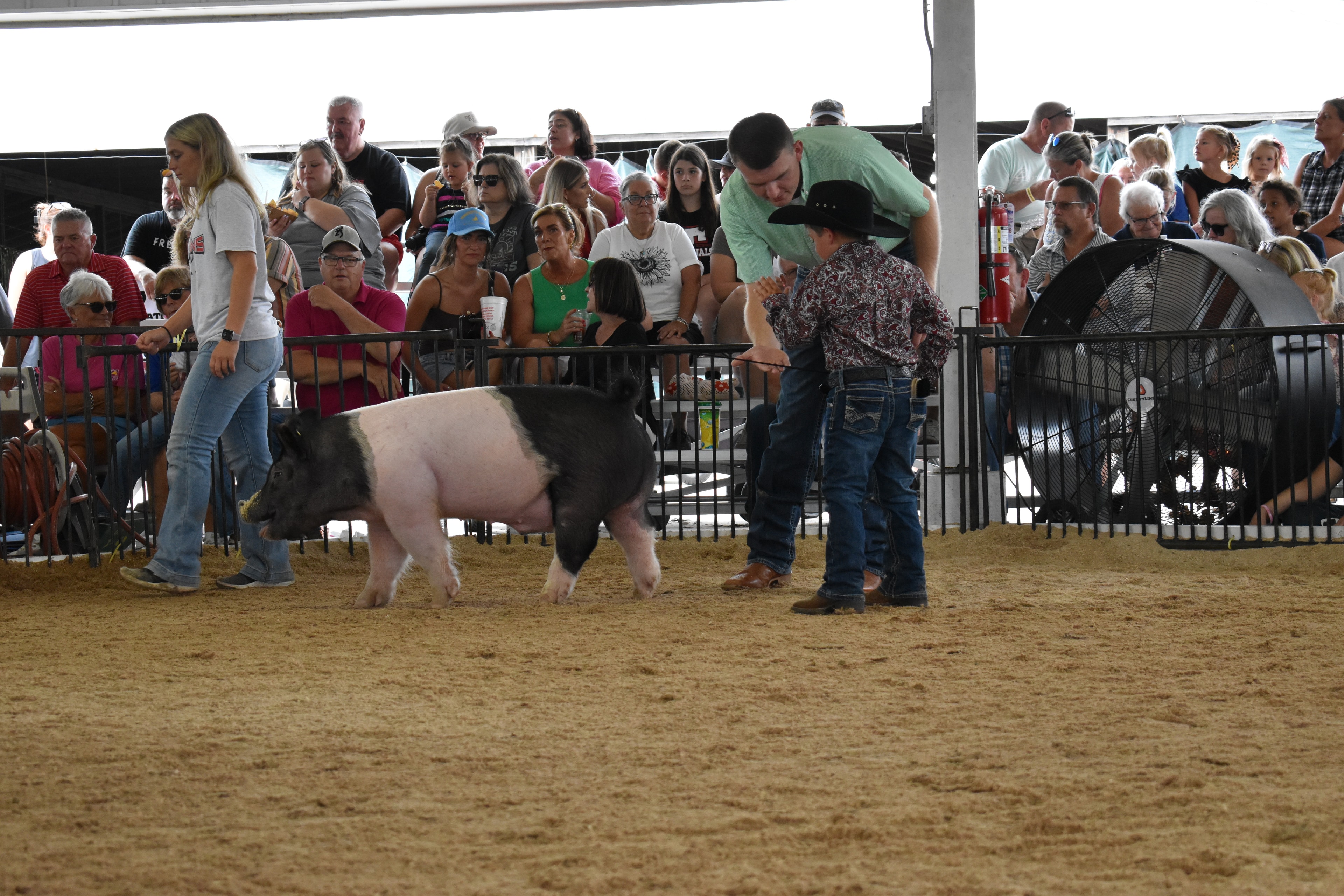 Small boy in black cowboy hat and paisley shirt steering large black-and-white Hampshire cross pig with judge in green shirt and girl in Falcons Soccer shirt alongside — packed grandstands with trees visible outside