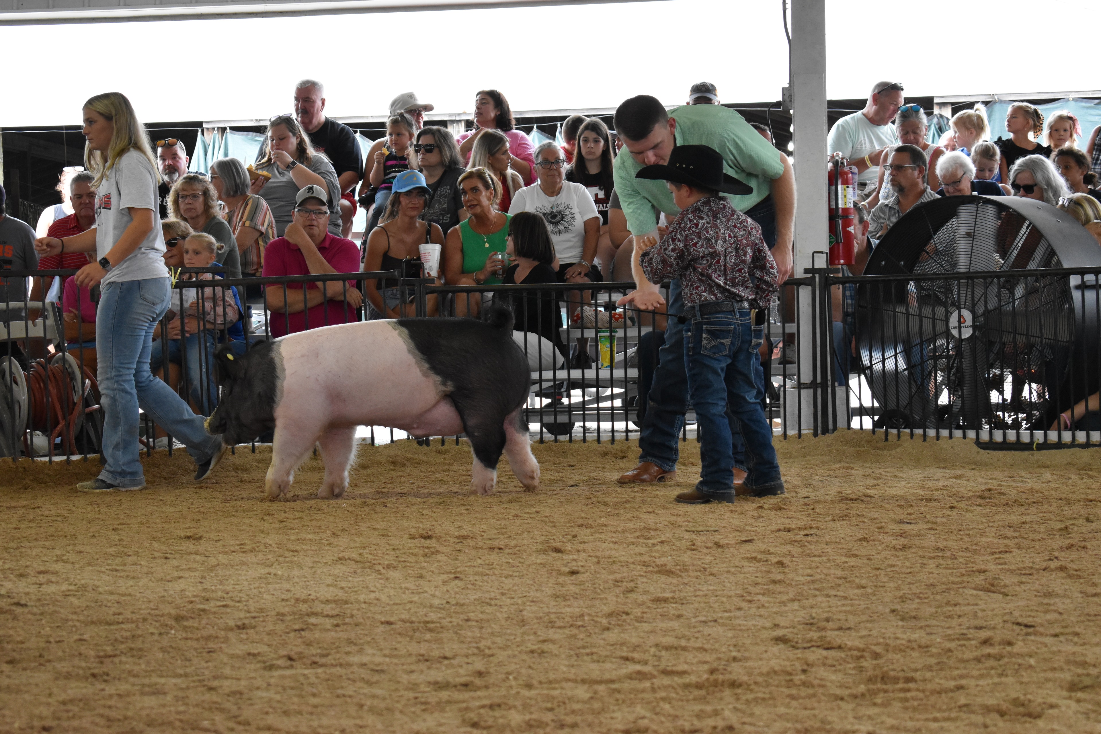 Small boy in black cowboy hat and paisley shirt steering large black-and-white Hampshire cross pig with judge in green shirt and girl in Falcons Soccer shirt — packed grandstands with trees visible outside
